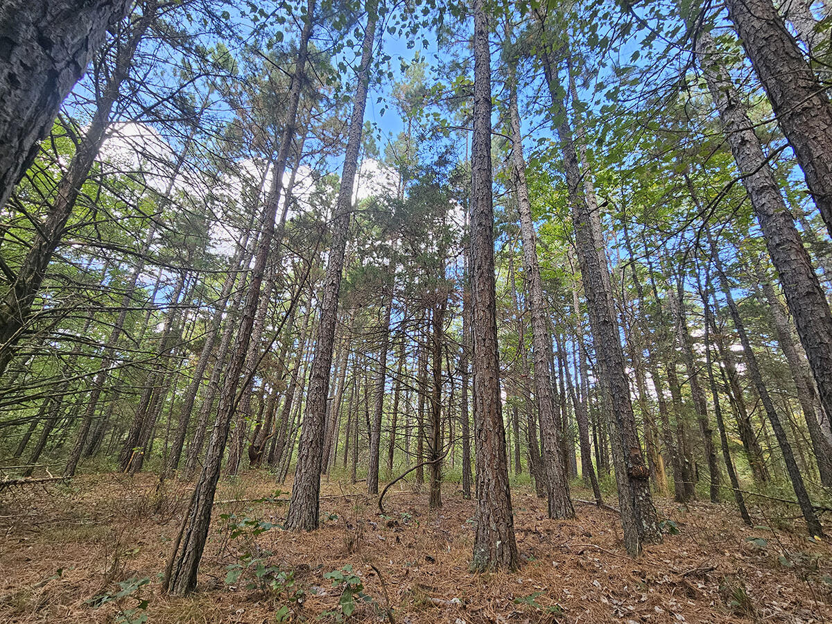 00 Sargent Road Property Photo 6