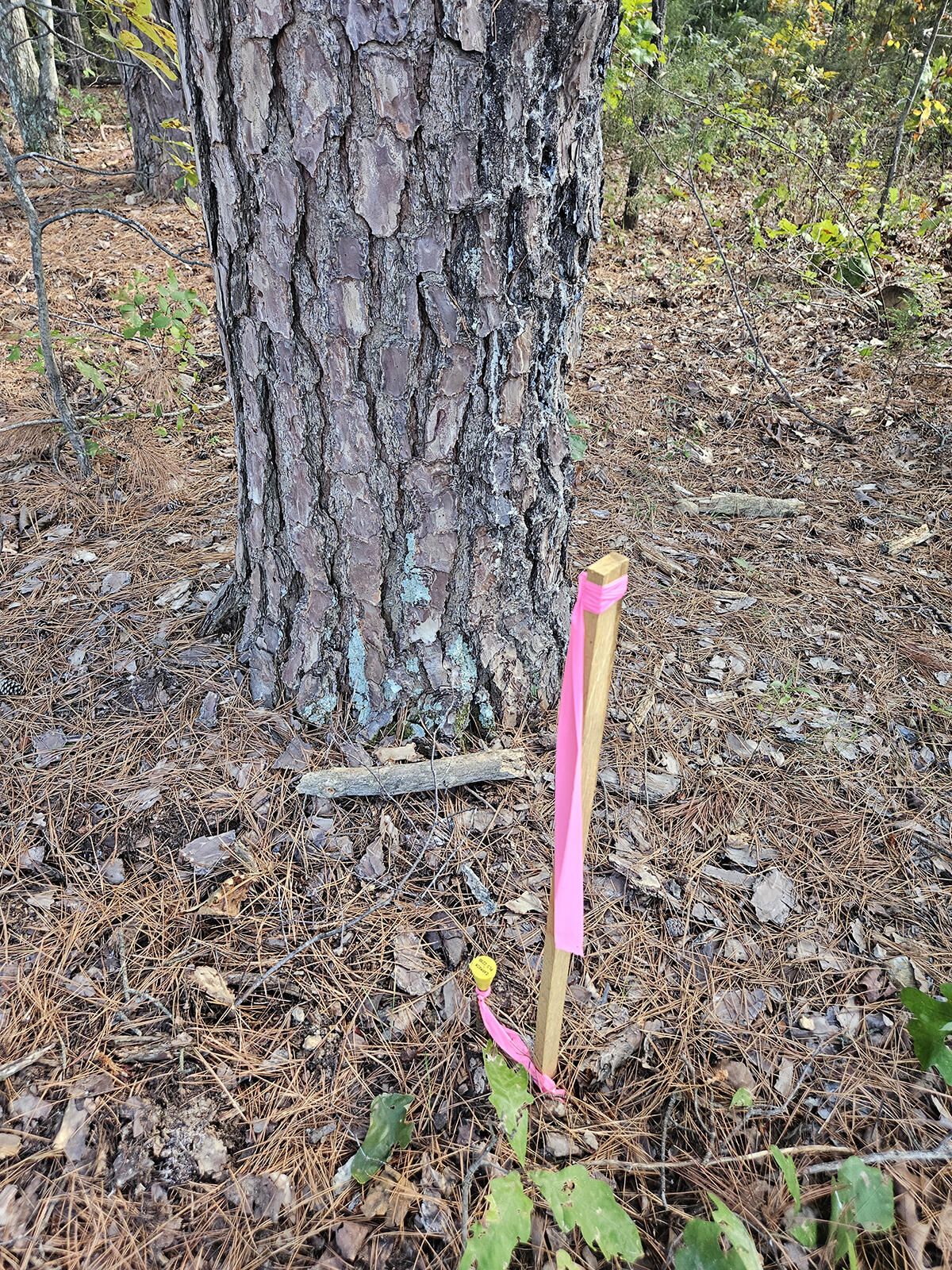 00 Sargent Road Property Photo 7