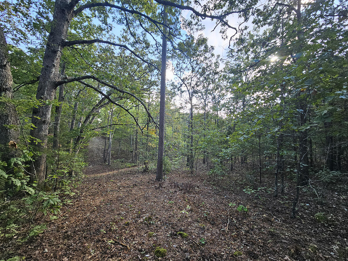 00 Sargent Road Property Photo 15