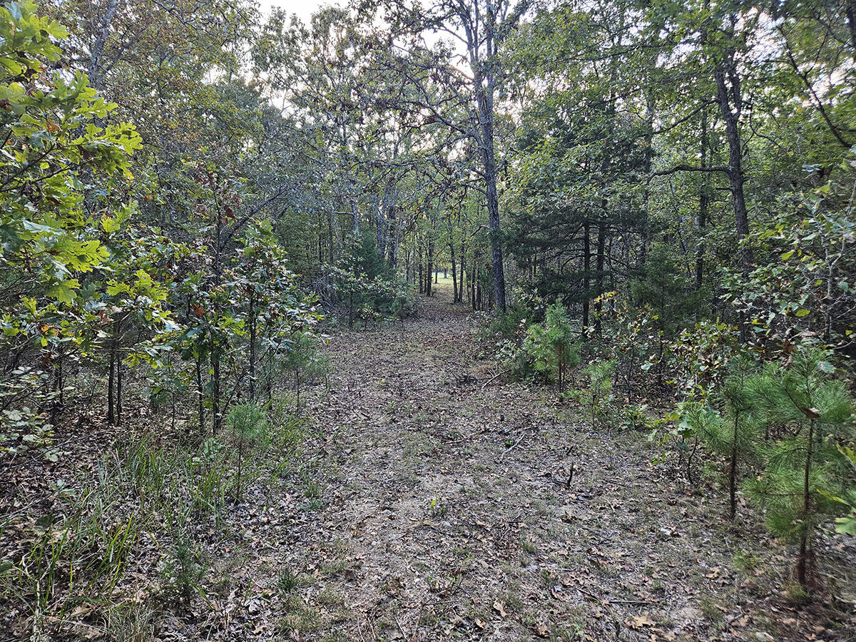 00 Sargent Road Property Photo 16