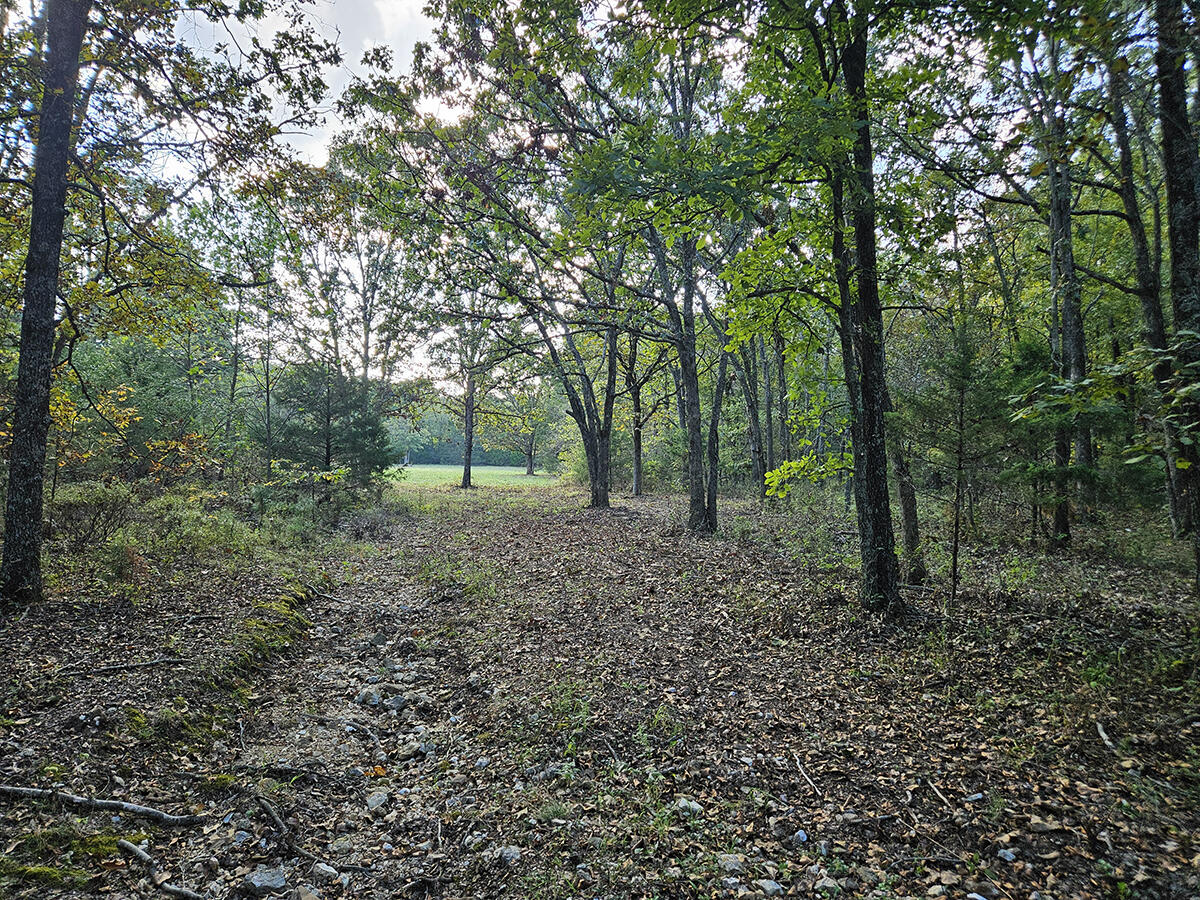 00 Sargent Road Property Photo 17