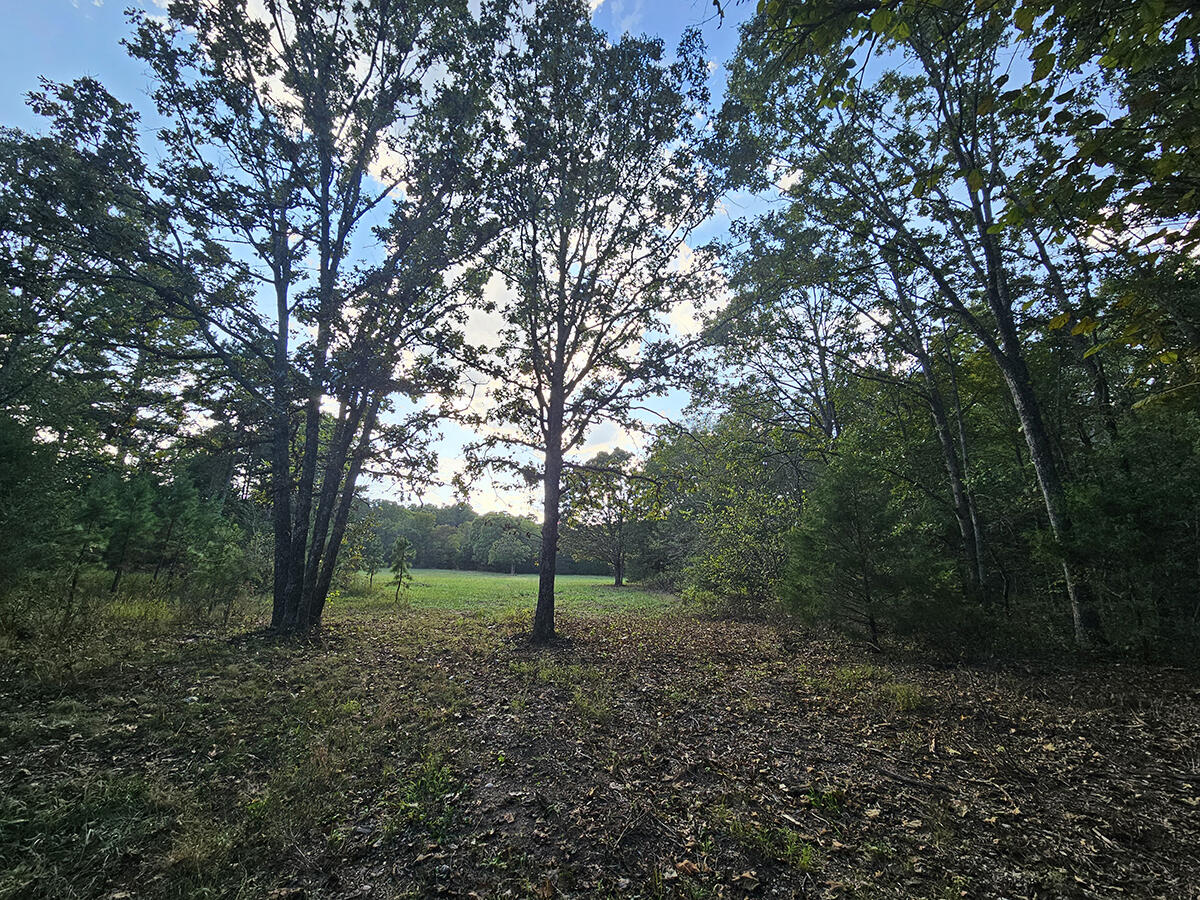 00 Sargent Road Property Photo 18