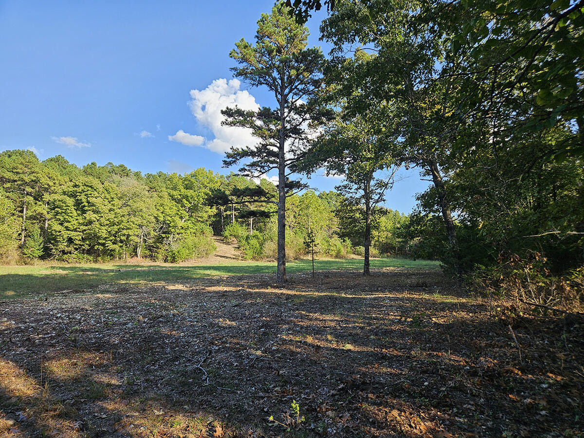 00 Sargent Road Property Photo 21