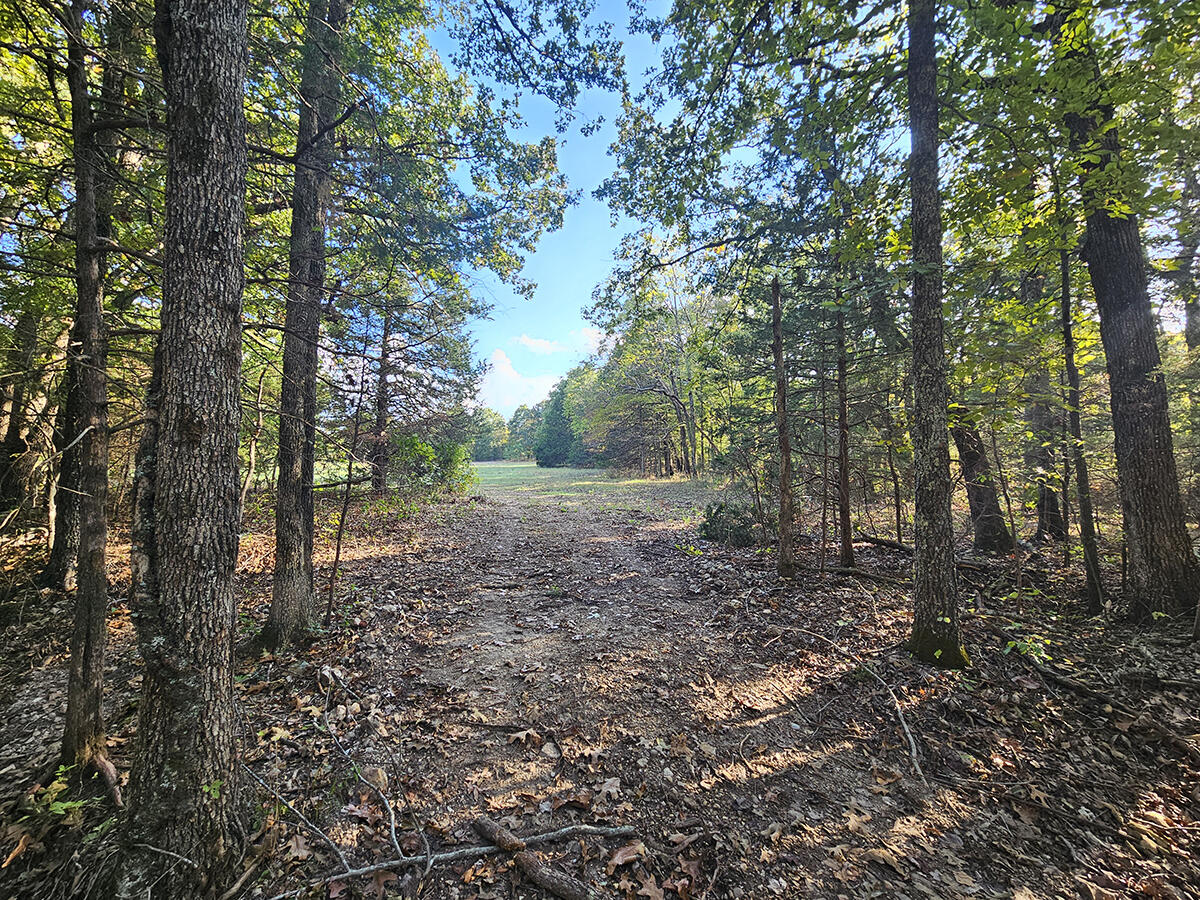 00 Sargent Road Property Photo 25