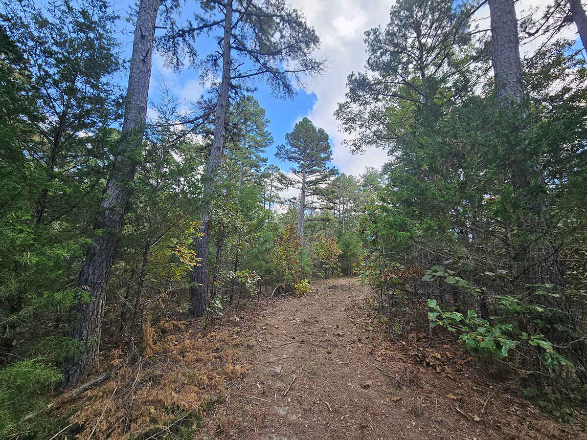 00 Sargent Road Property Photo 29