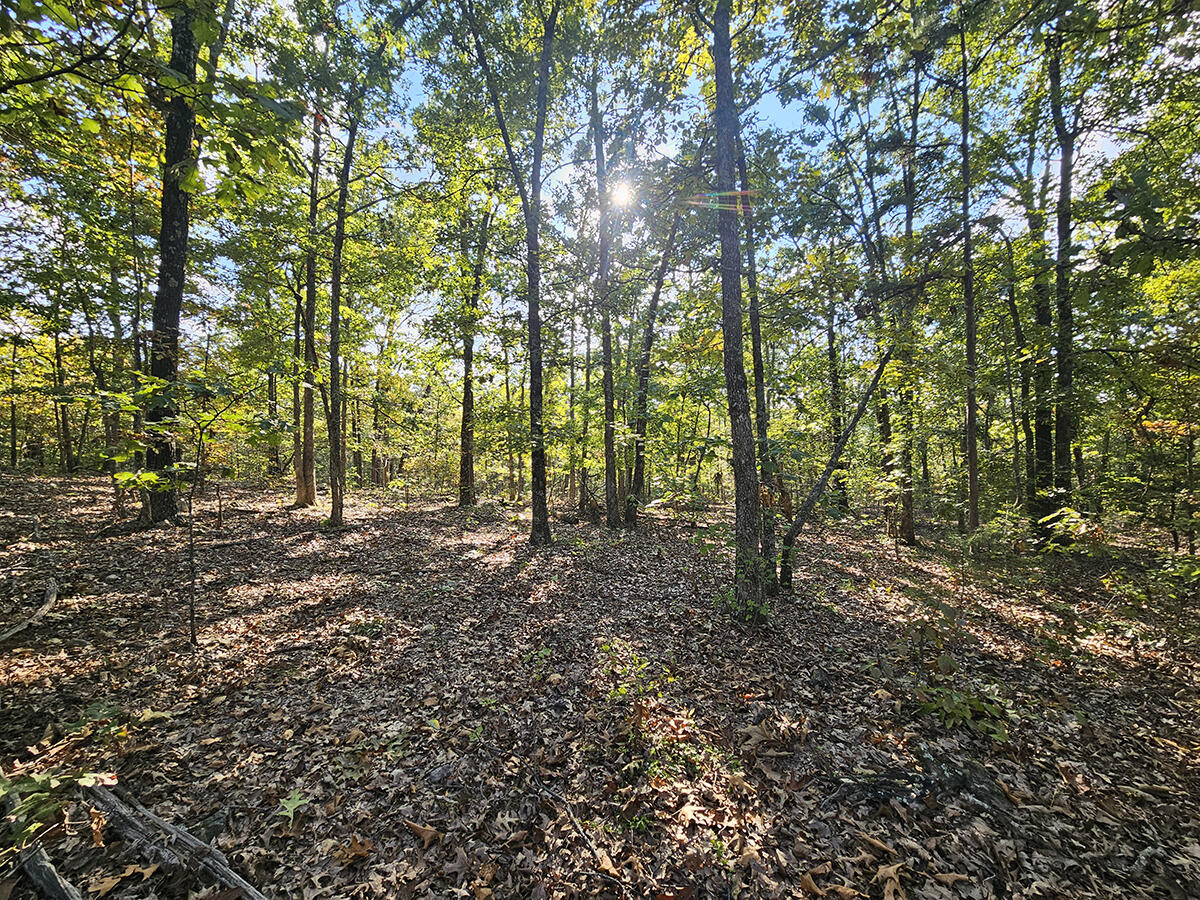 00 Sargent Road Property Photo 30