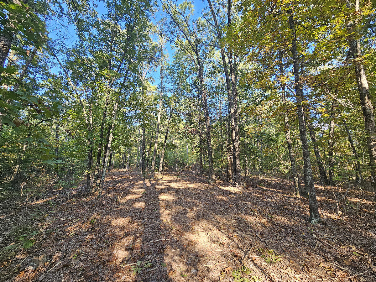 00 Sargent Road Property Photo 31