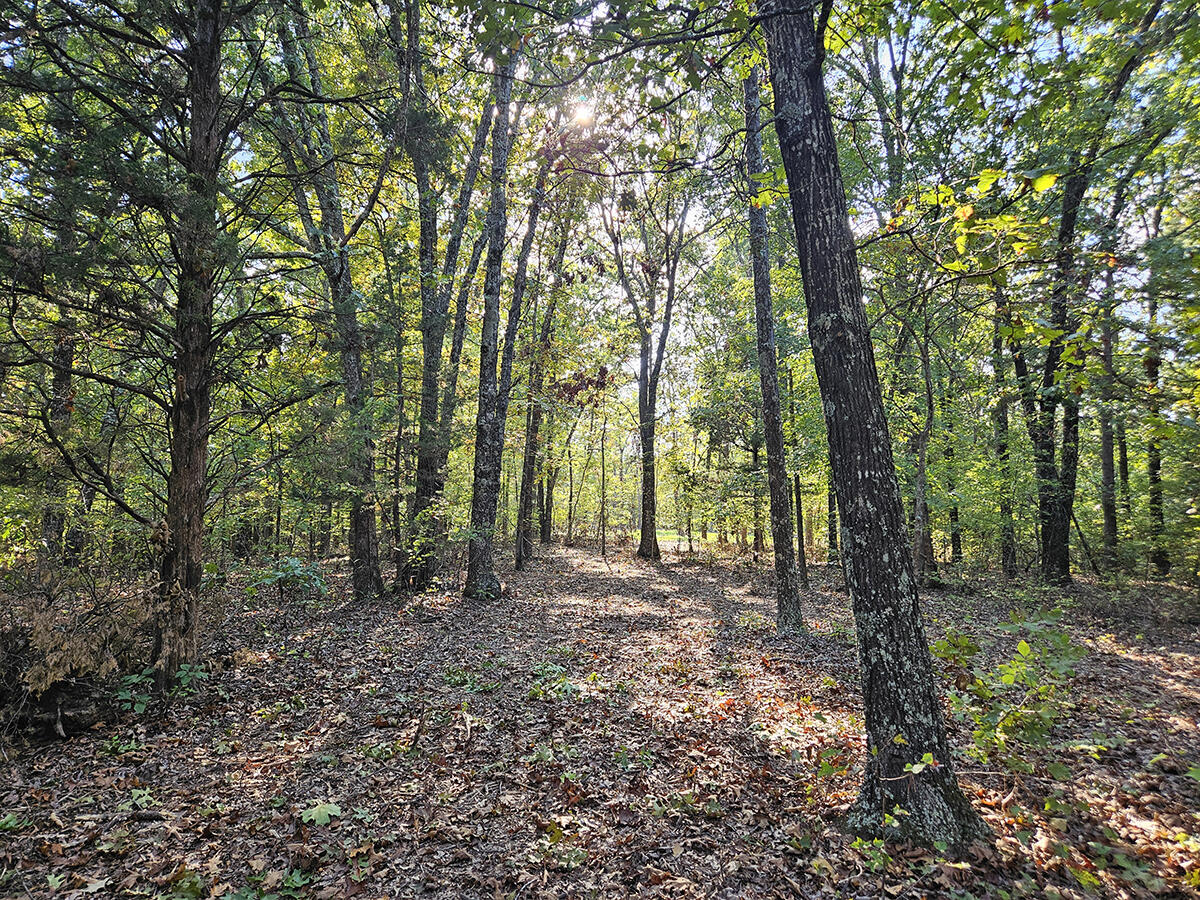 00 Sargent Road Property Photo 32