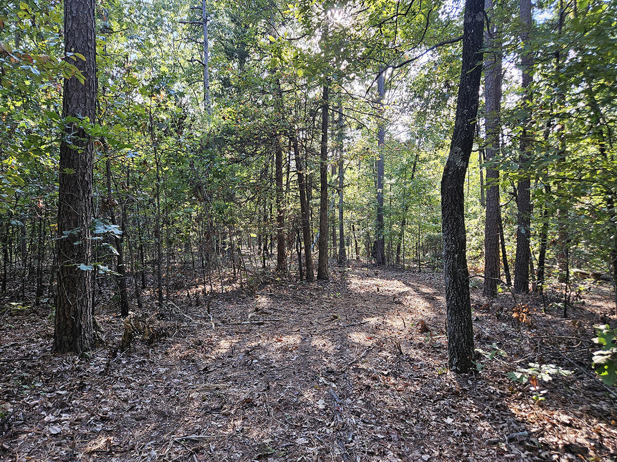 00 Sargent Road Property Photo 33