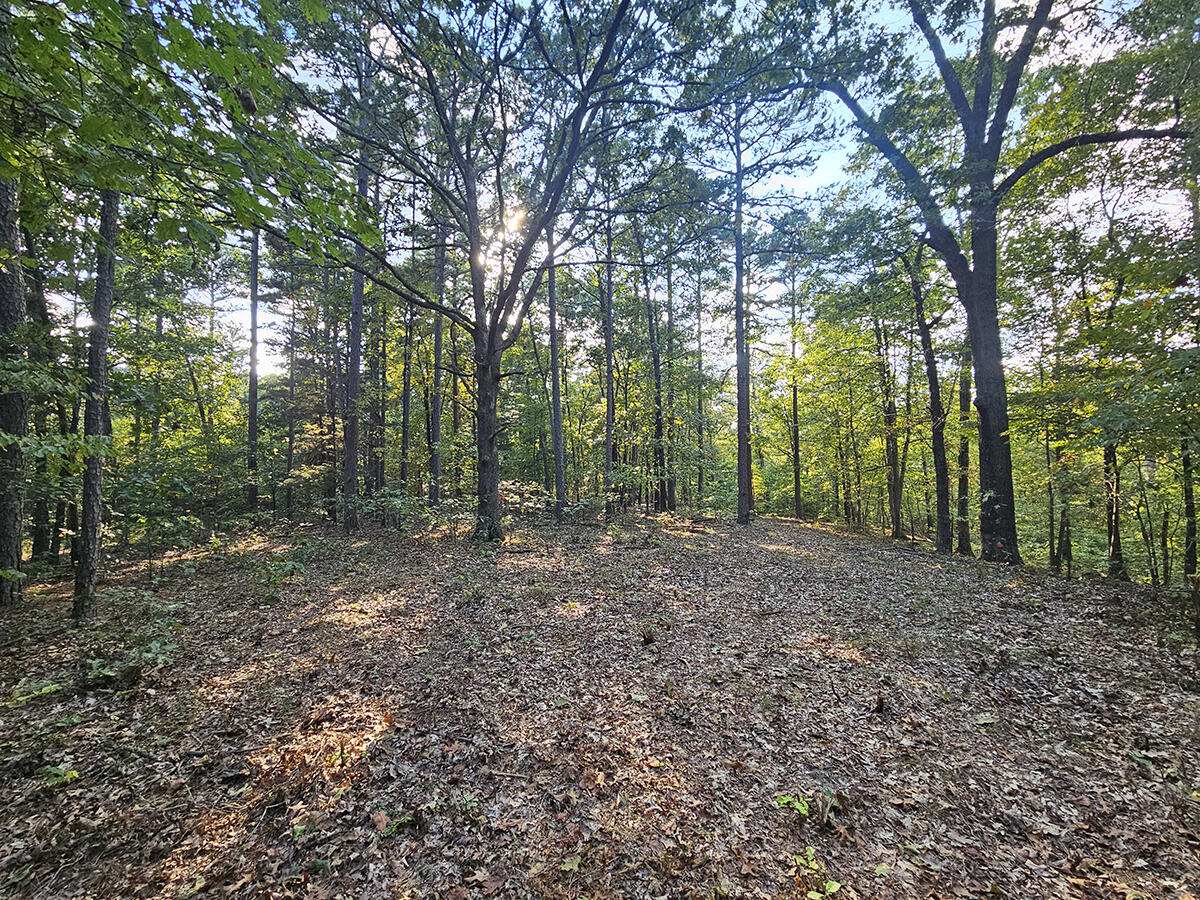 00 Sargent Road Property Photo 34