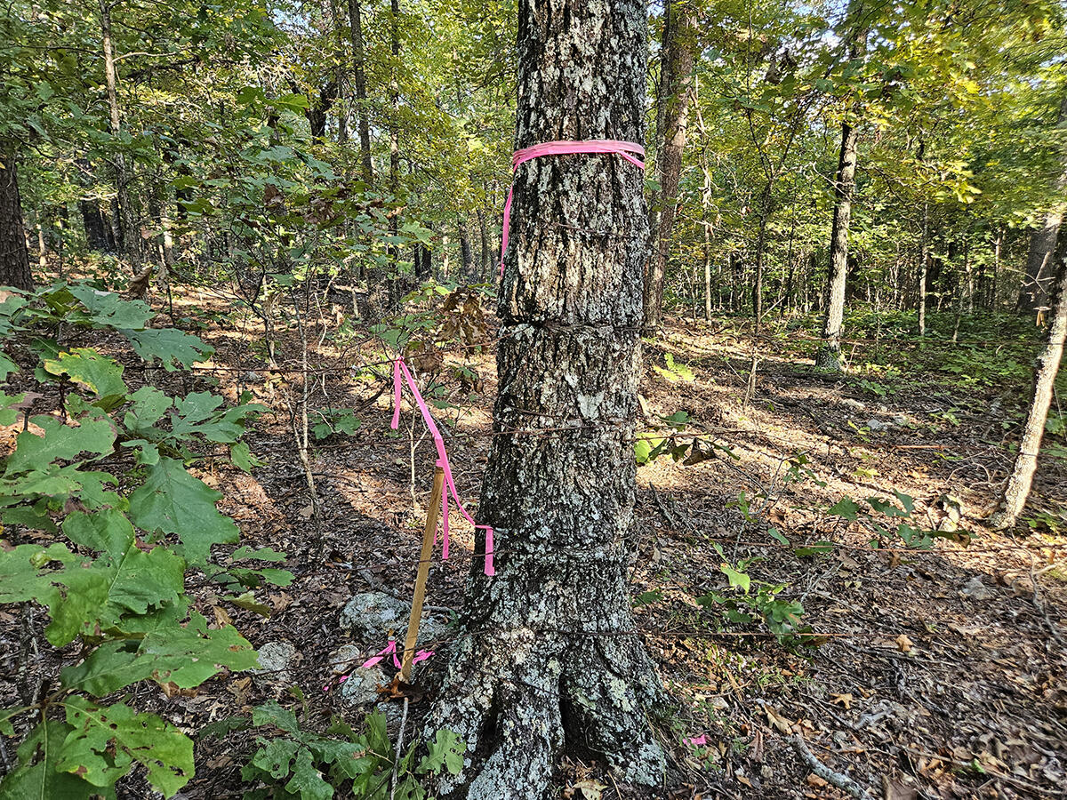 00 Sargent Road Property Photo 35