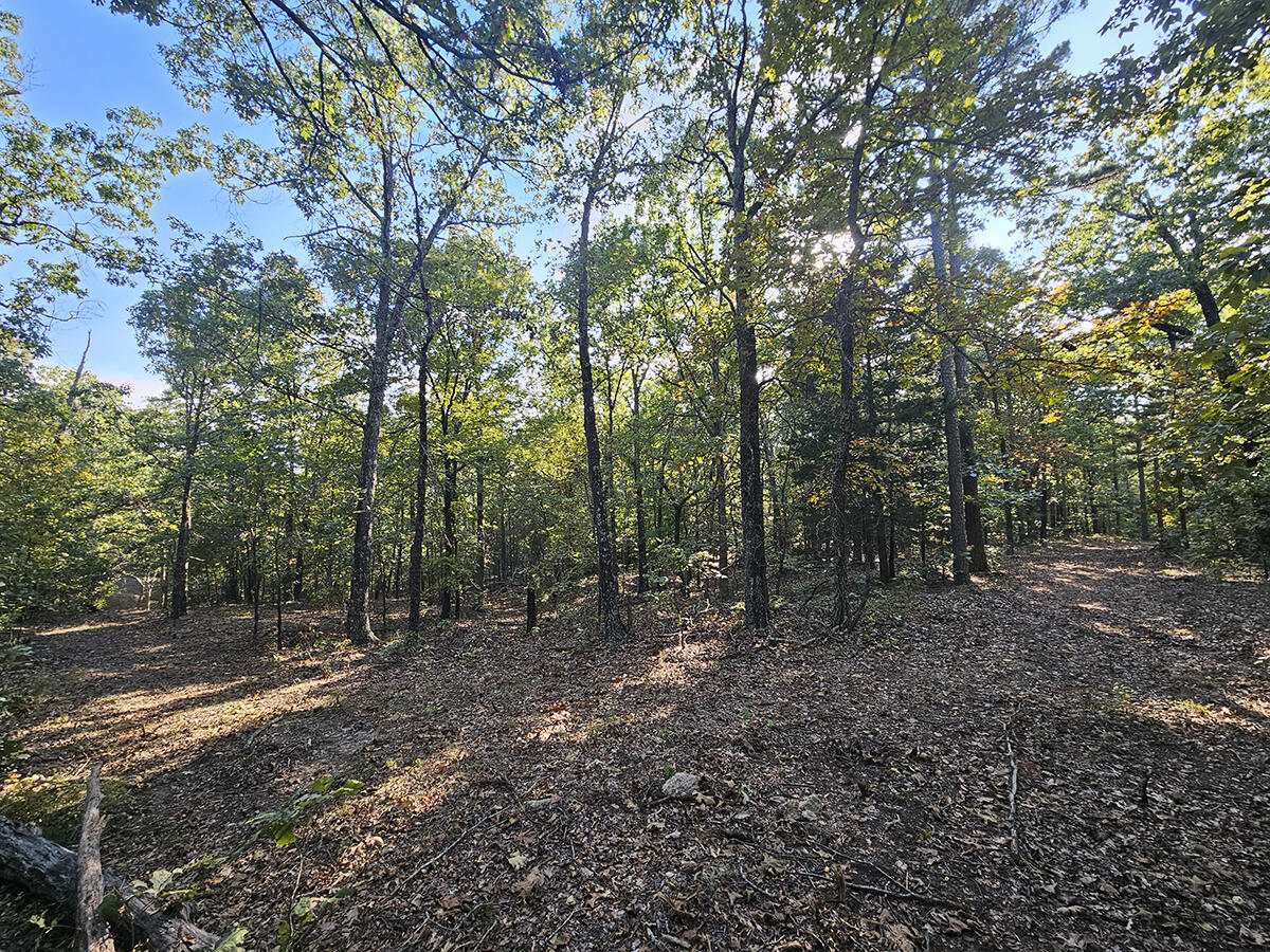 00 Sargent Road Property Photo 36