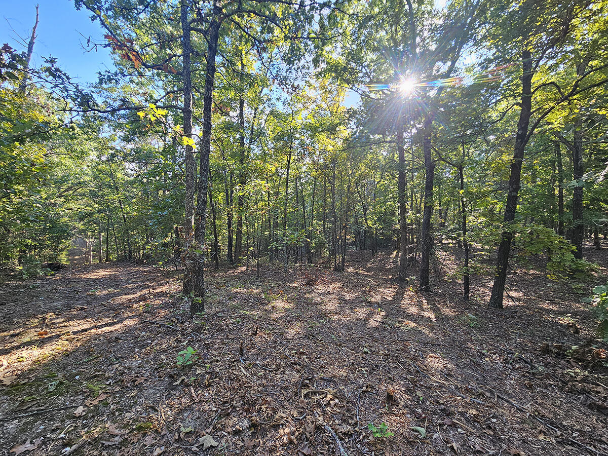 00 Sargent Road Property Photo 37