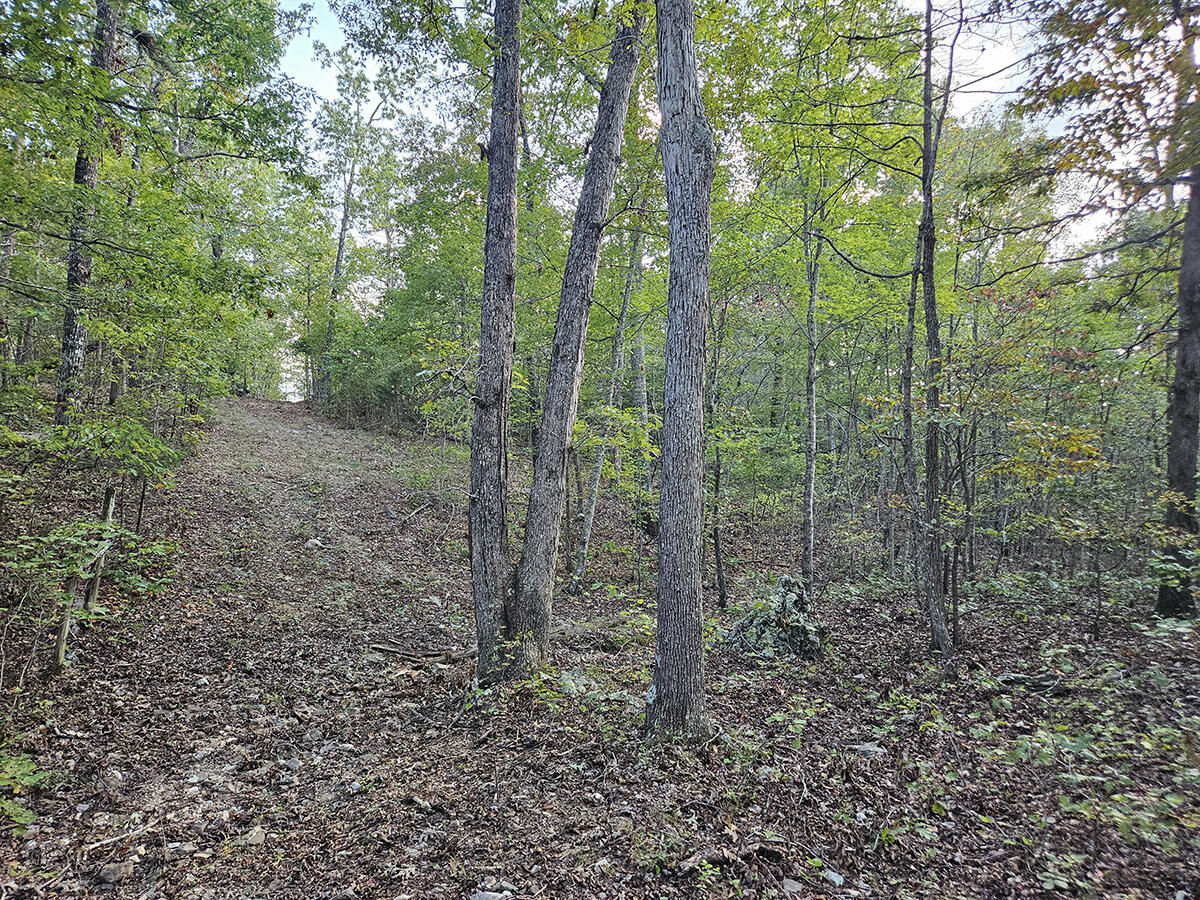 00 Sargent Road Property Photo 38