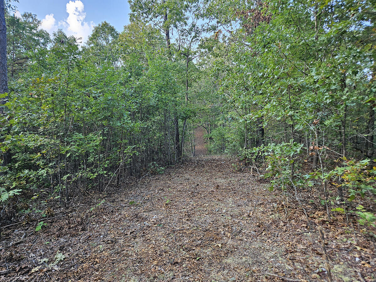 00 Sargent Road Property Photo 39