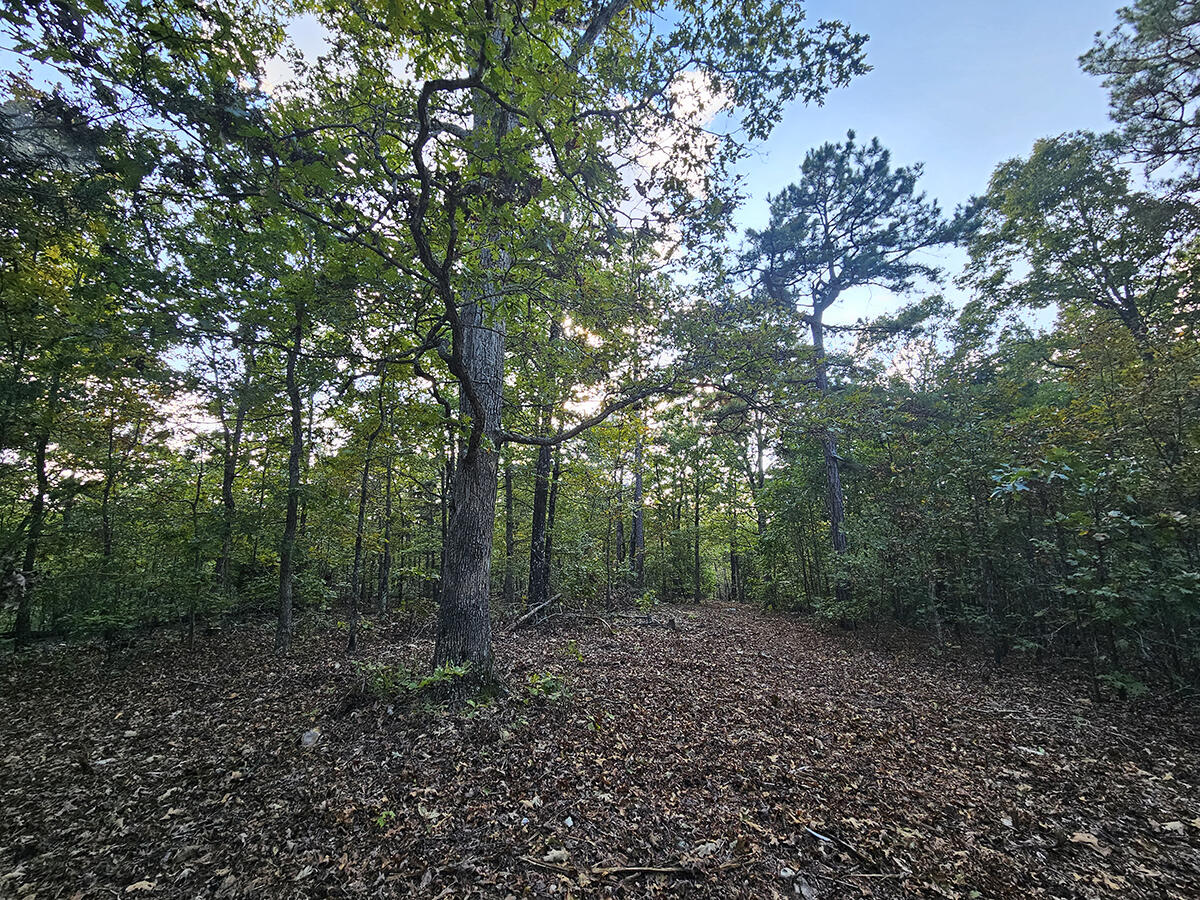 00 Sargent Road Property Photo 41