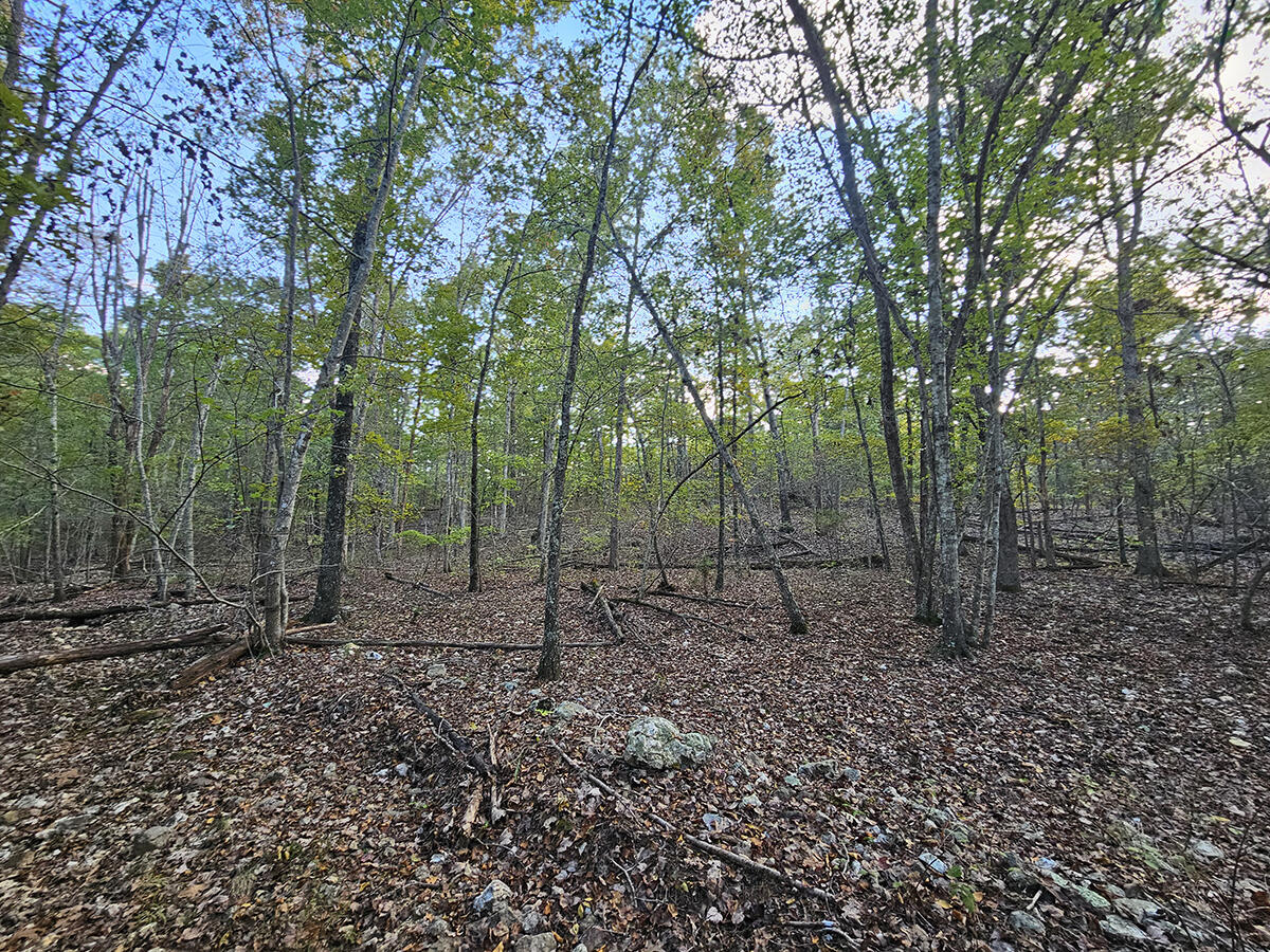 00 Sargent Road Property Photo 42