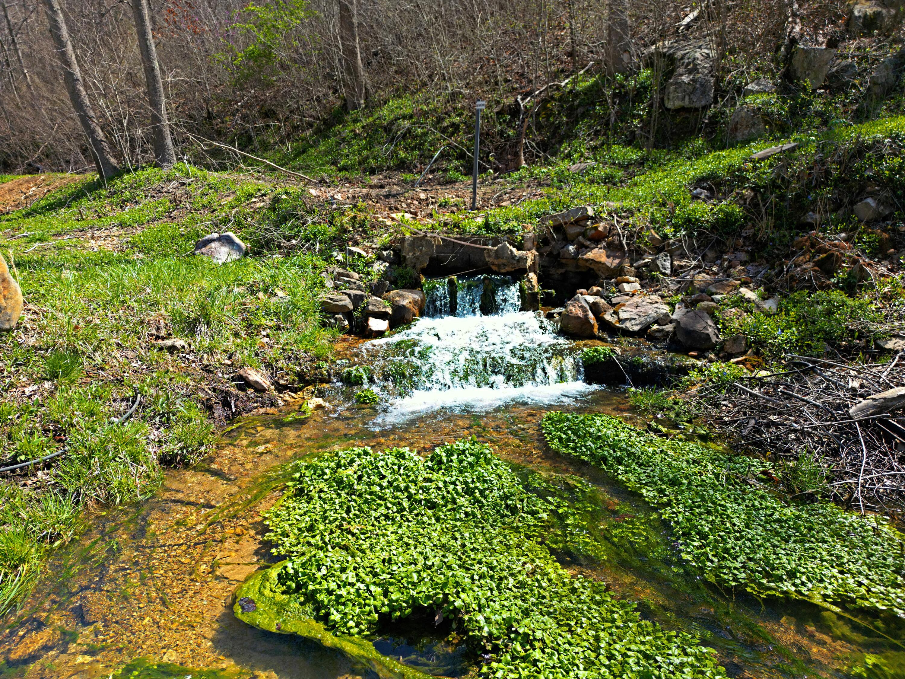 25598 C-228 Tract 1 Property Photo 1