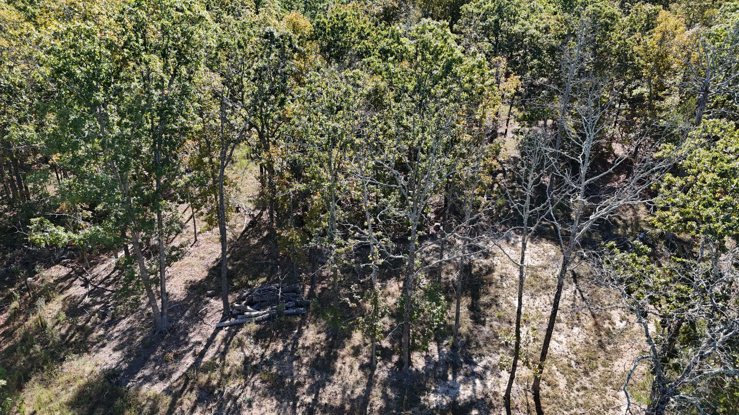 000 Stone Ridge Rd Tract B Property Photo 6