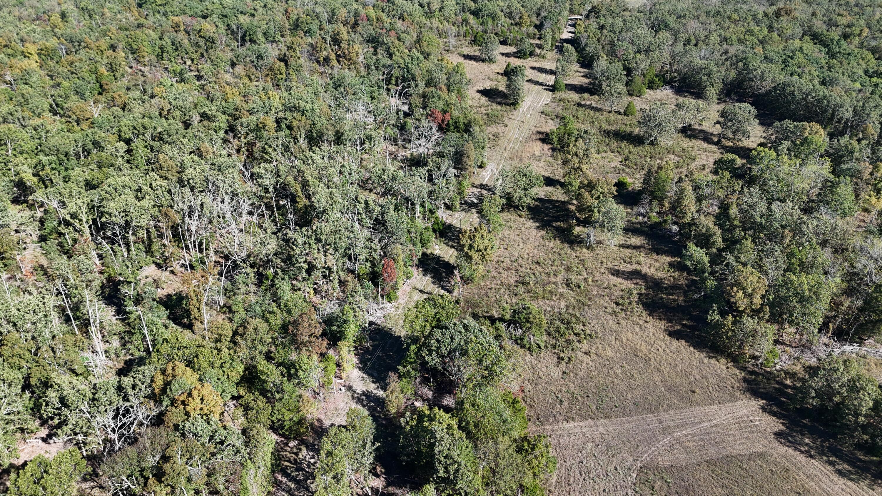 000 Stone Ridge Rd Tract B Property Photo 10