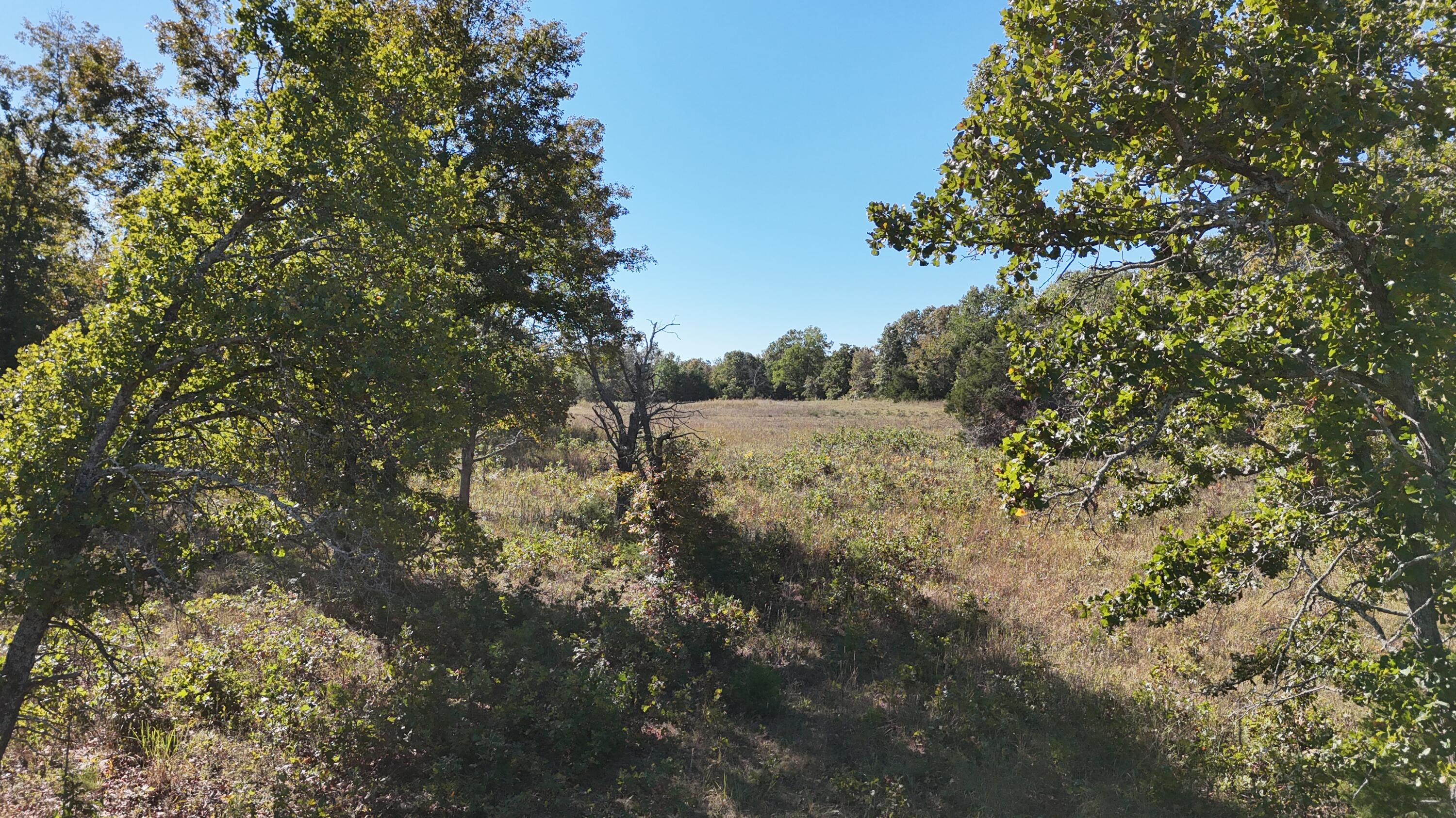 000 Stone Ridge Rd Tract B Property Photo 13