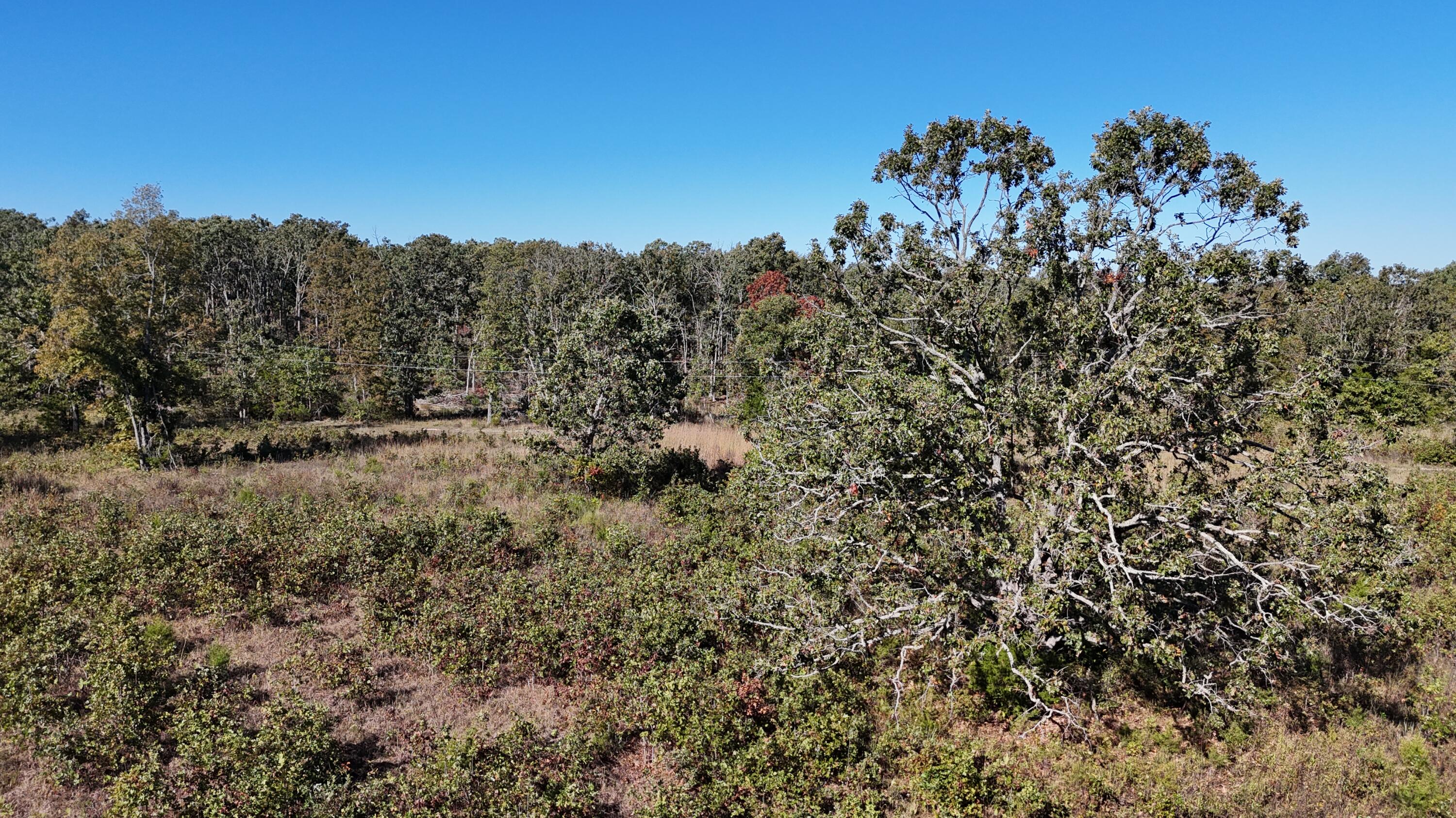 000 Stone Ridge Rd Tract B Property Photo 16
