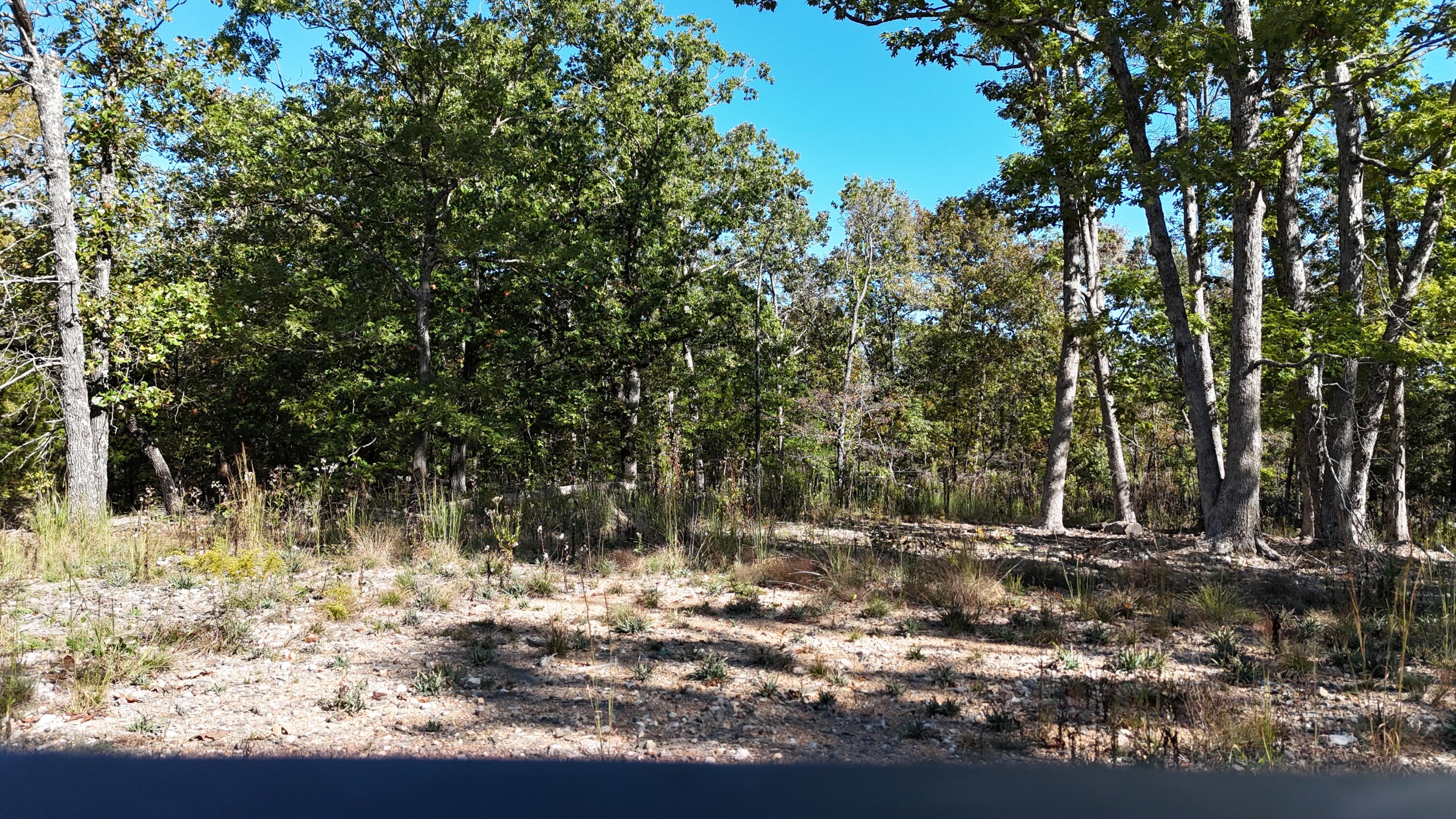 000 Stone Ridge Rd Tract B Property Photo 18