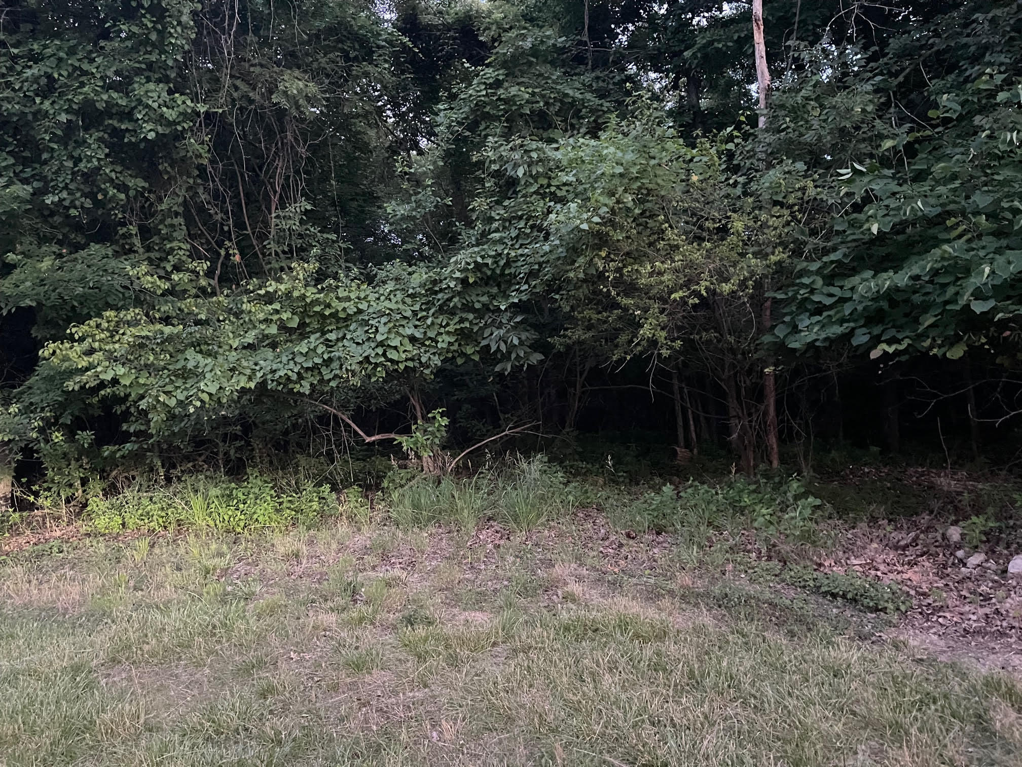 Lot 87 Carol Road Property Photo 4