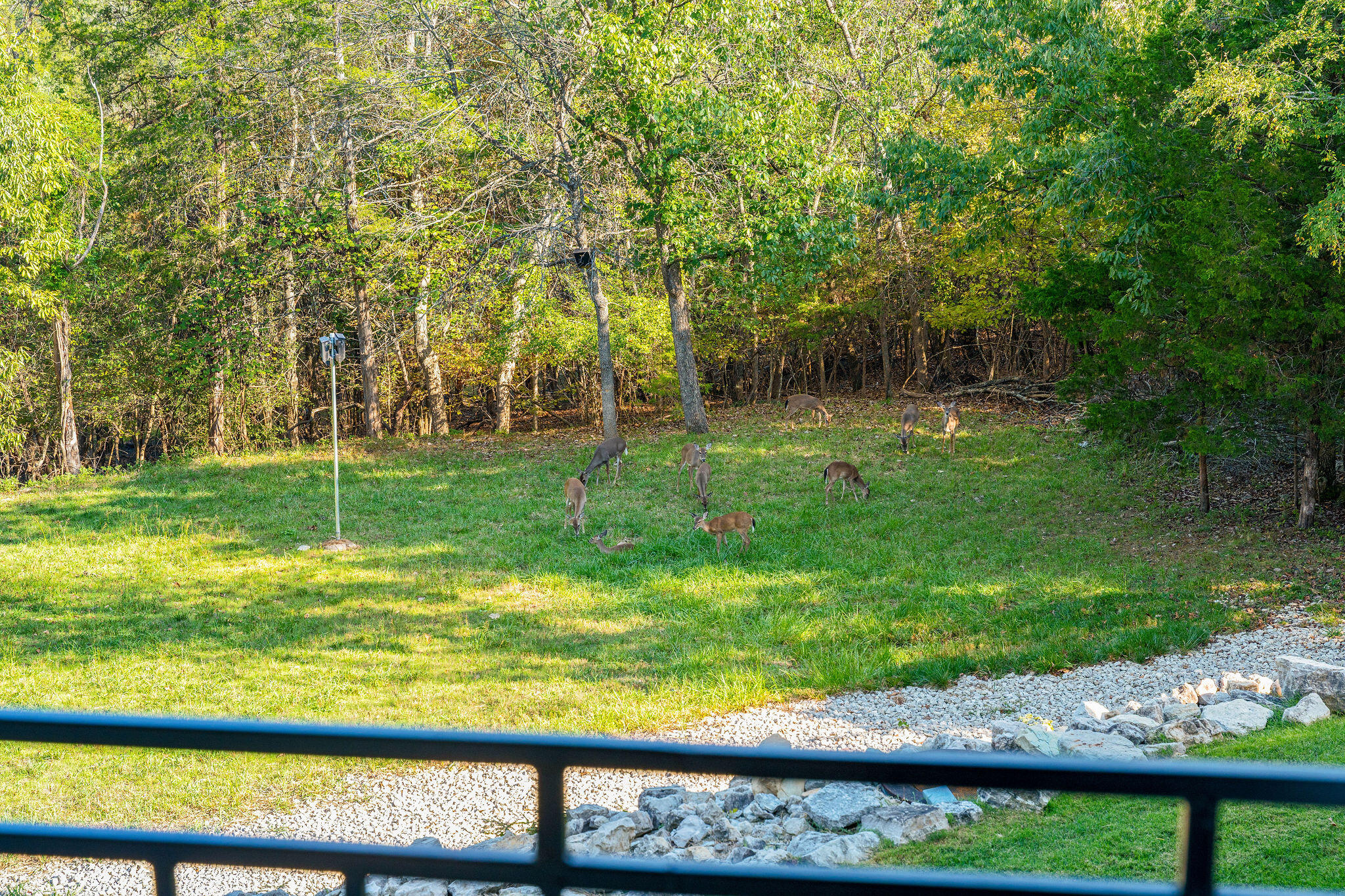 389 Wilson Road Property Photo 90