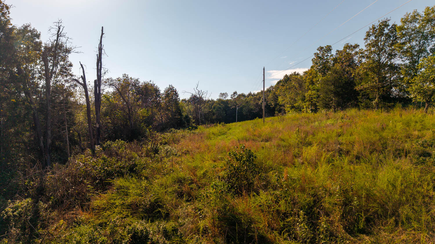 1973 County Road 359 Property Photo 76