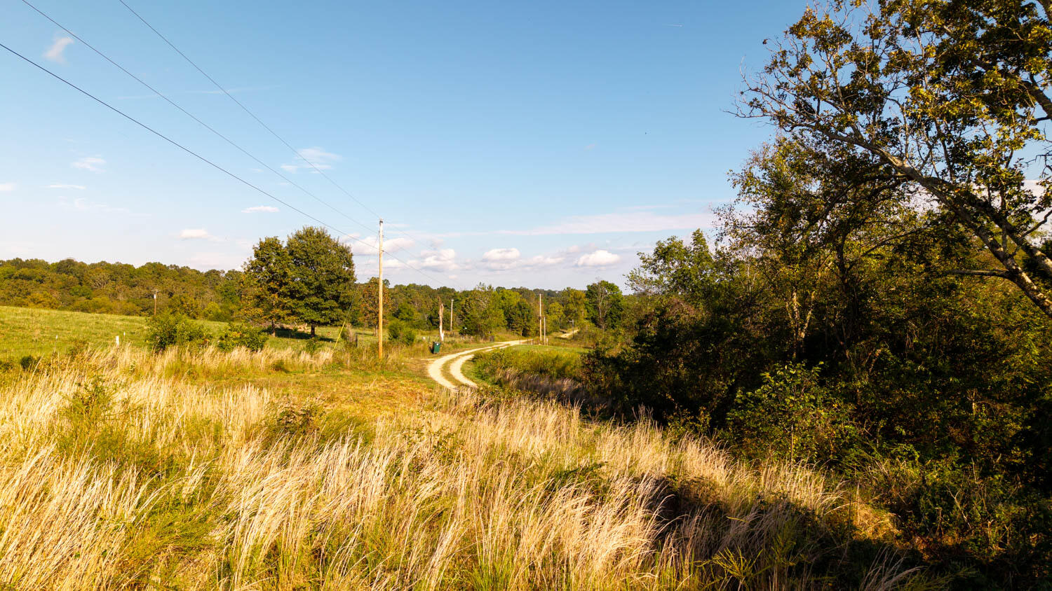 1973 County Road 359 Property Photo 77