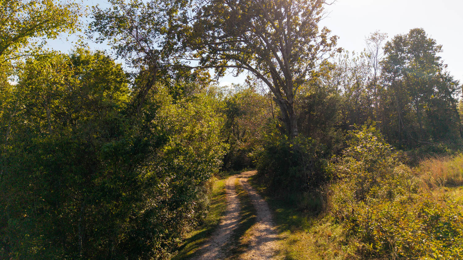 1973 County Road 359 Property Photo 78