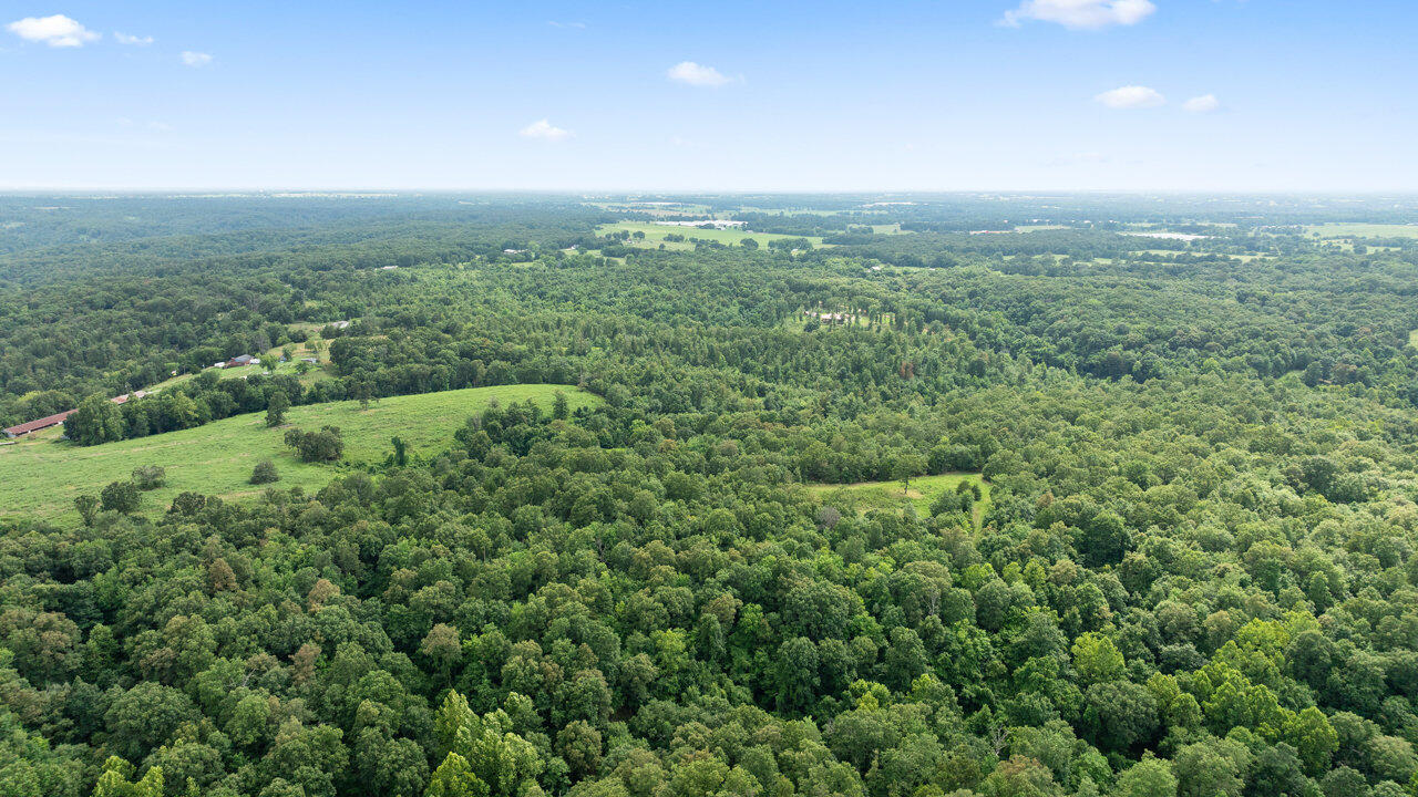 Tract 13 Styles Road Property Photo 12