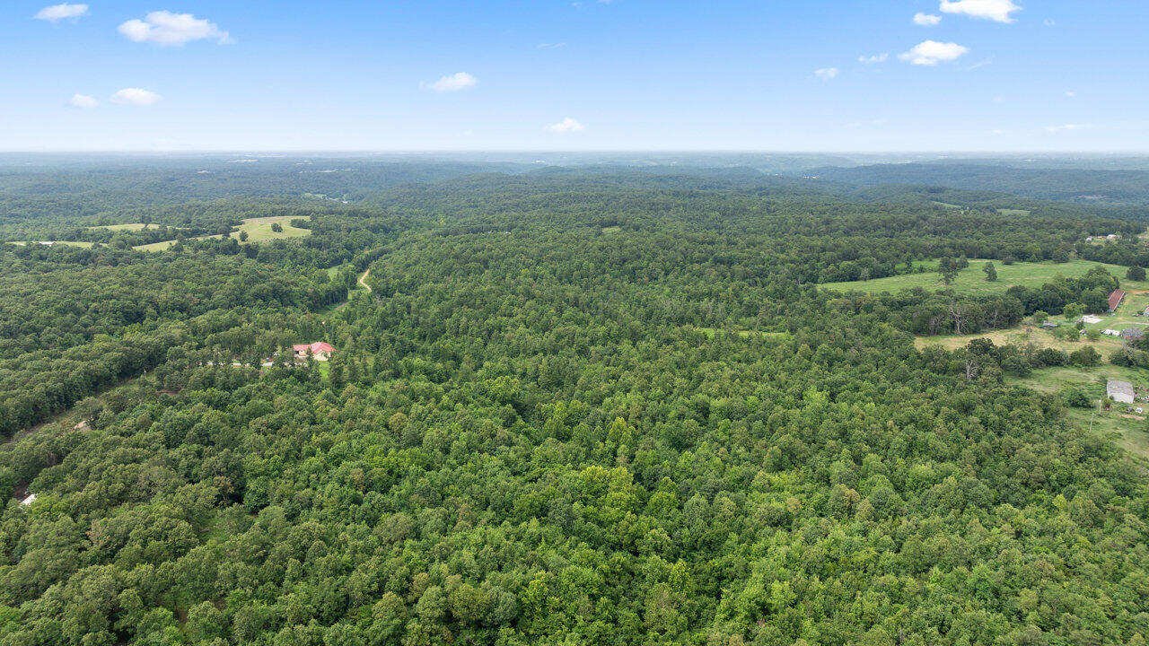 Tract 13 Styles Road Property Photo 16