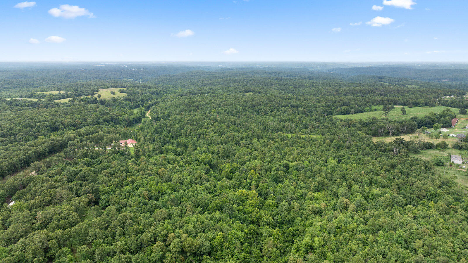 Tract 13 Styles Road Property Photo 32