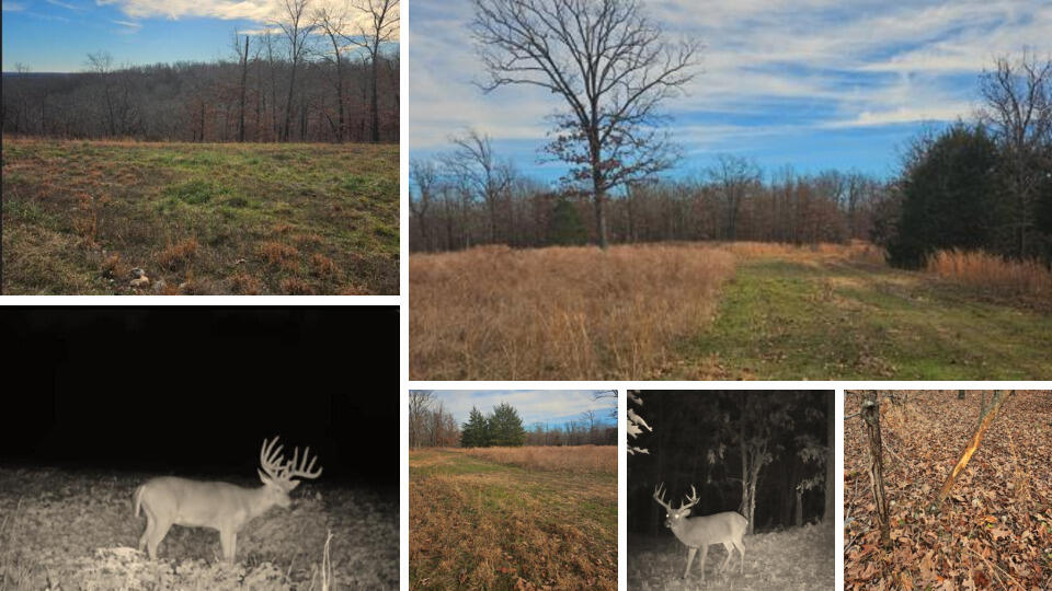 Tract 13 Styles Road Property Photo 35