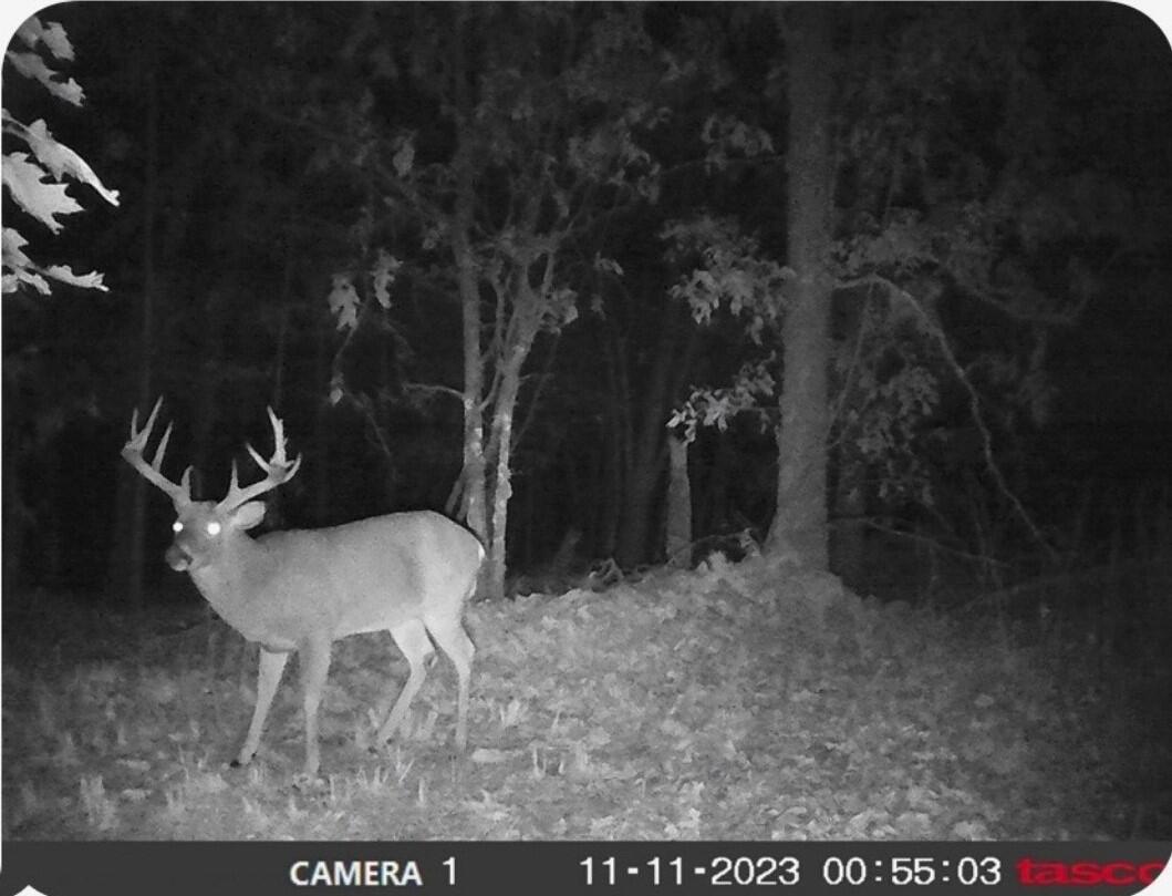 Tract 13 Styles Road Property Photo 37