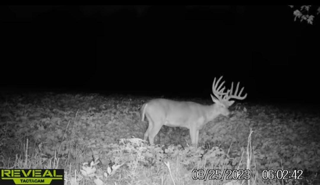 Tract 13 Styles Road Property Photo 39