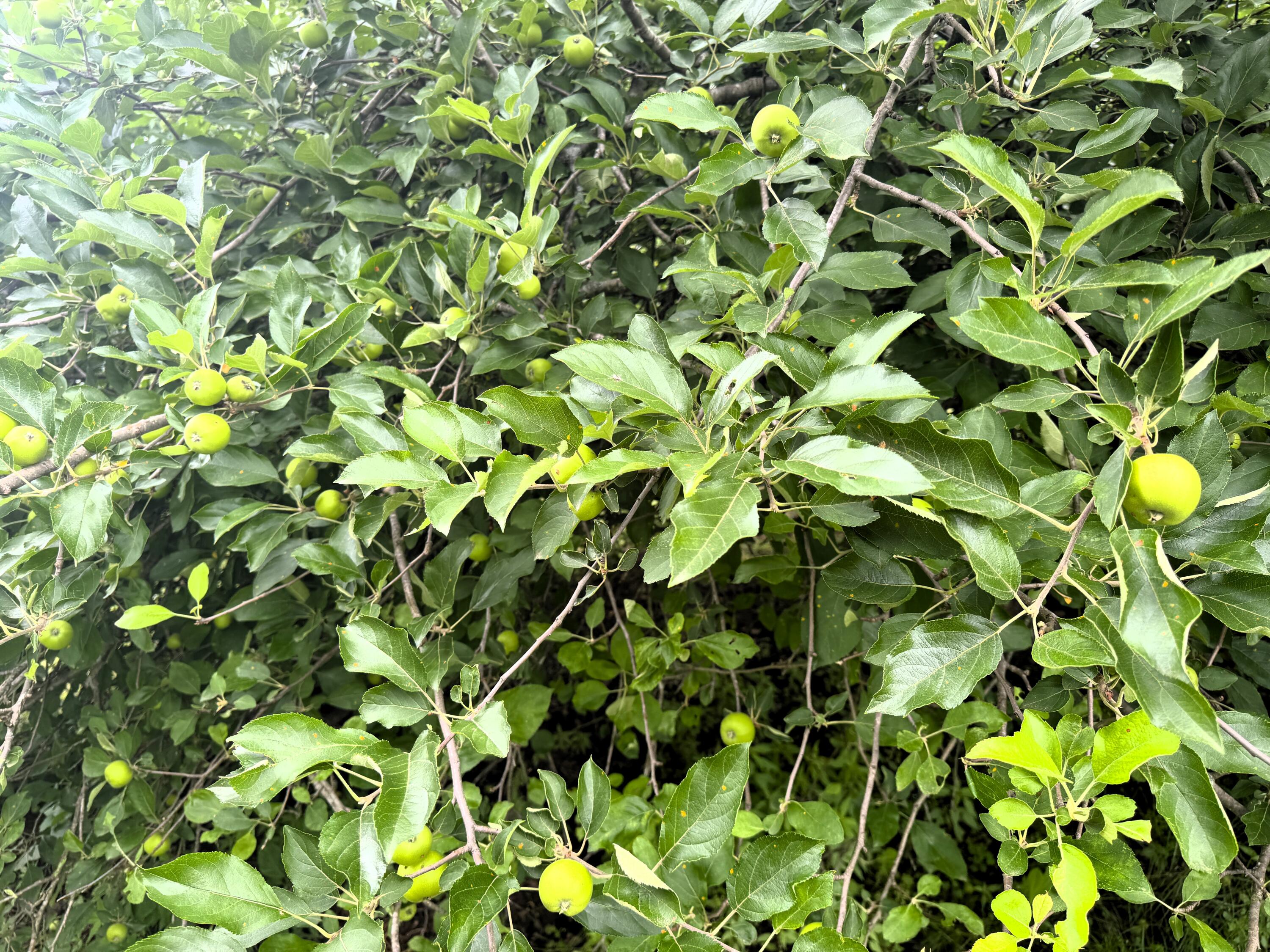 20685 East Hwy M Property Photo 43