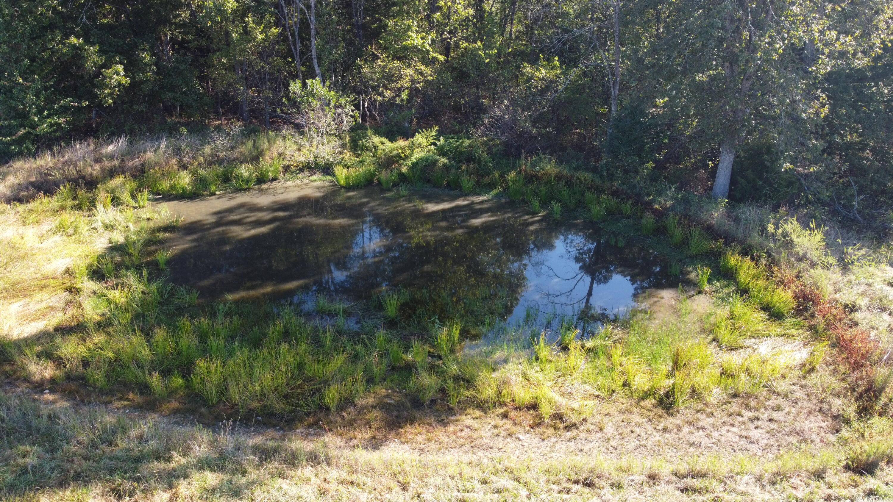 34771 Mo-14 Property Photo 9