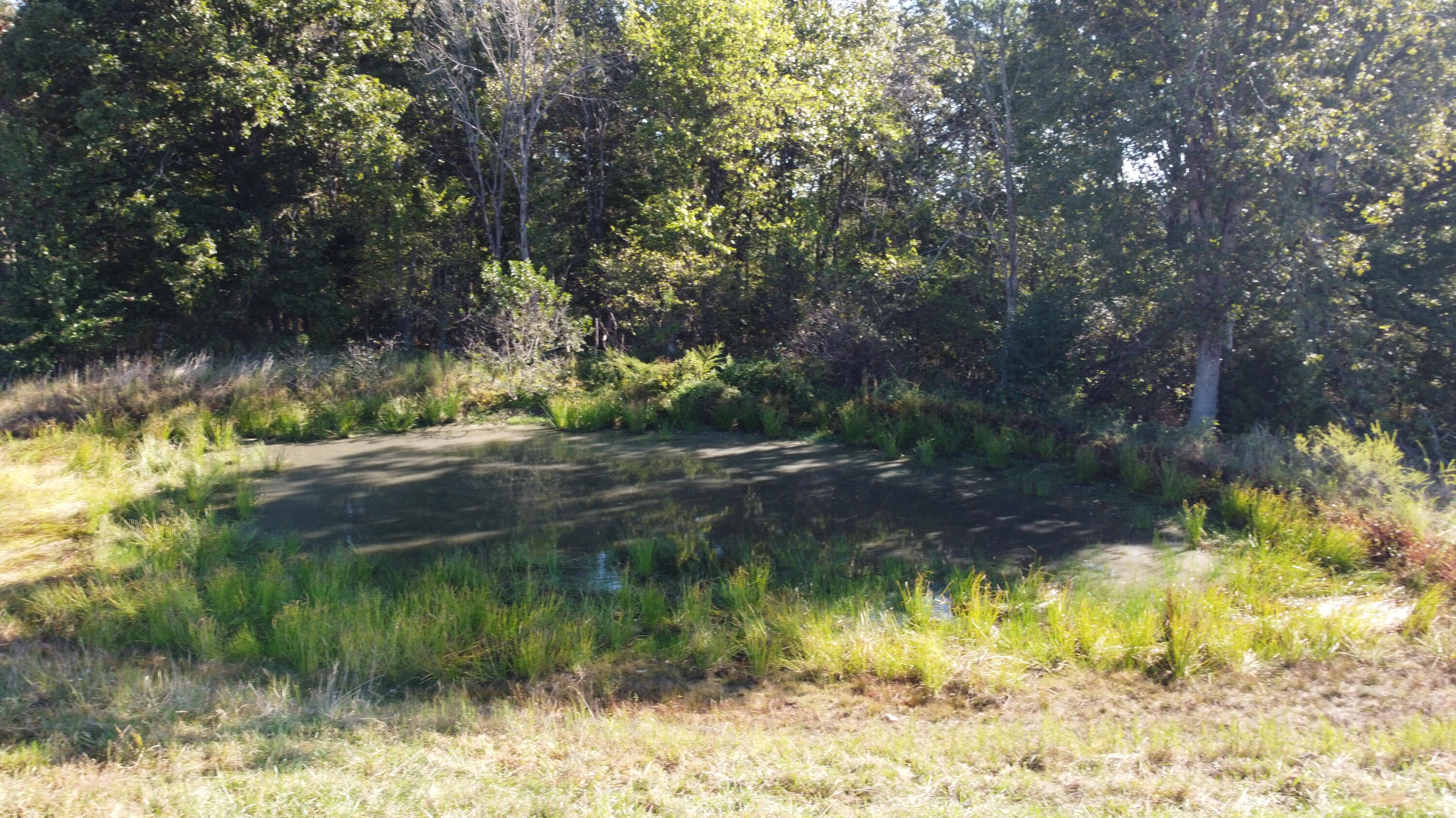 34771 Mo-14 Property Photo 11