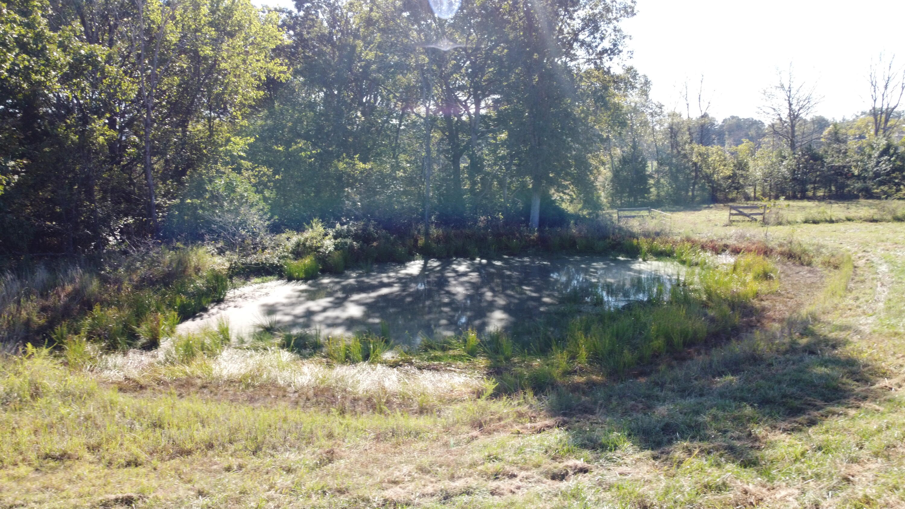 34771 Mo-14 Property Photo 14