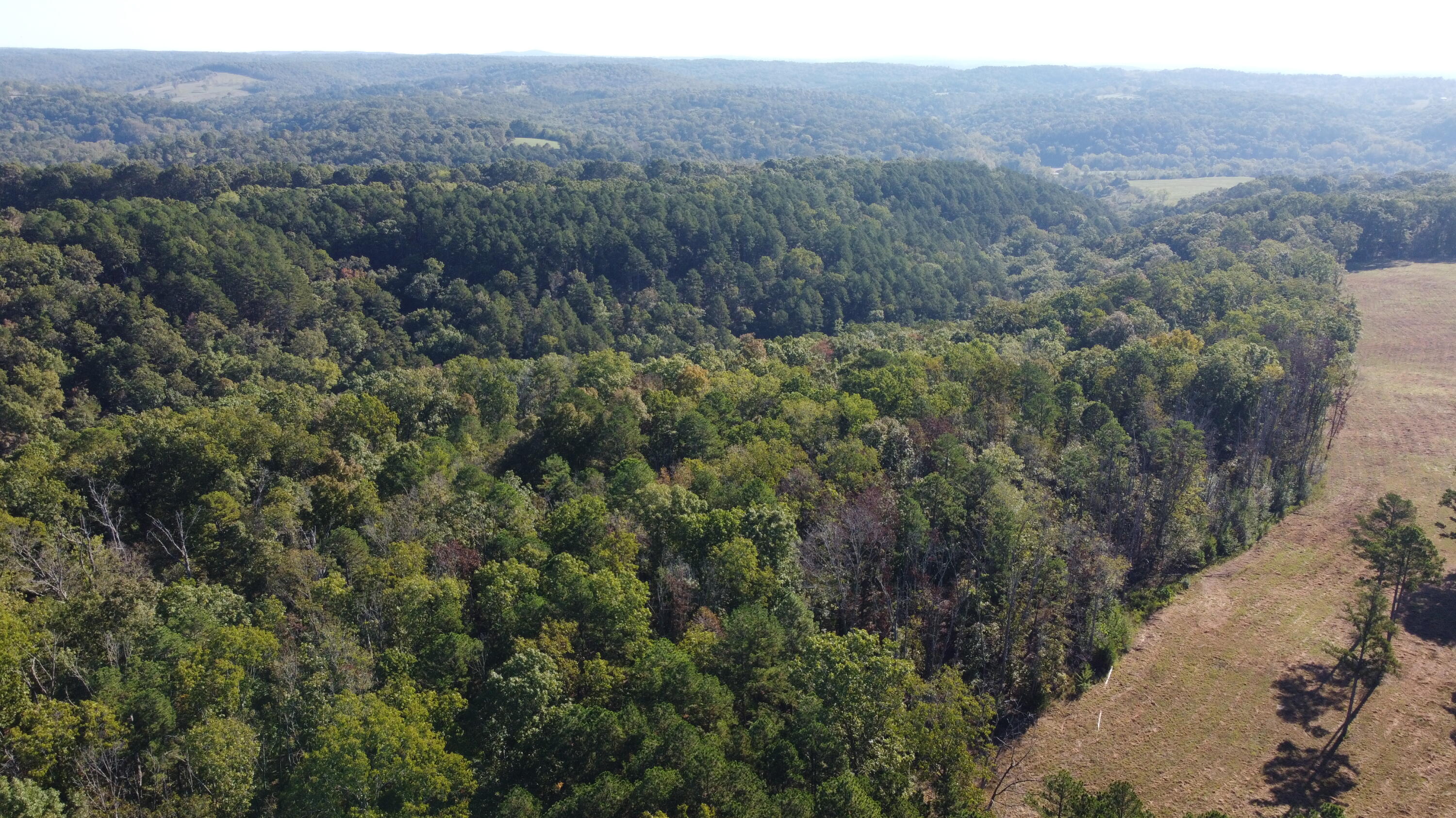 34771 Mo-14 Property Photo 16