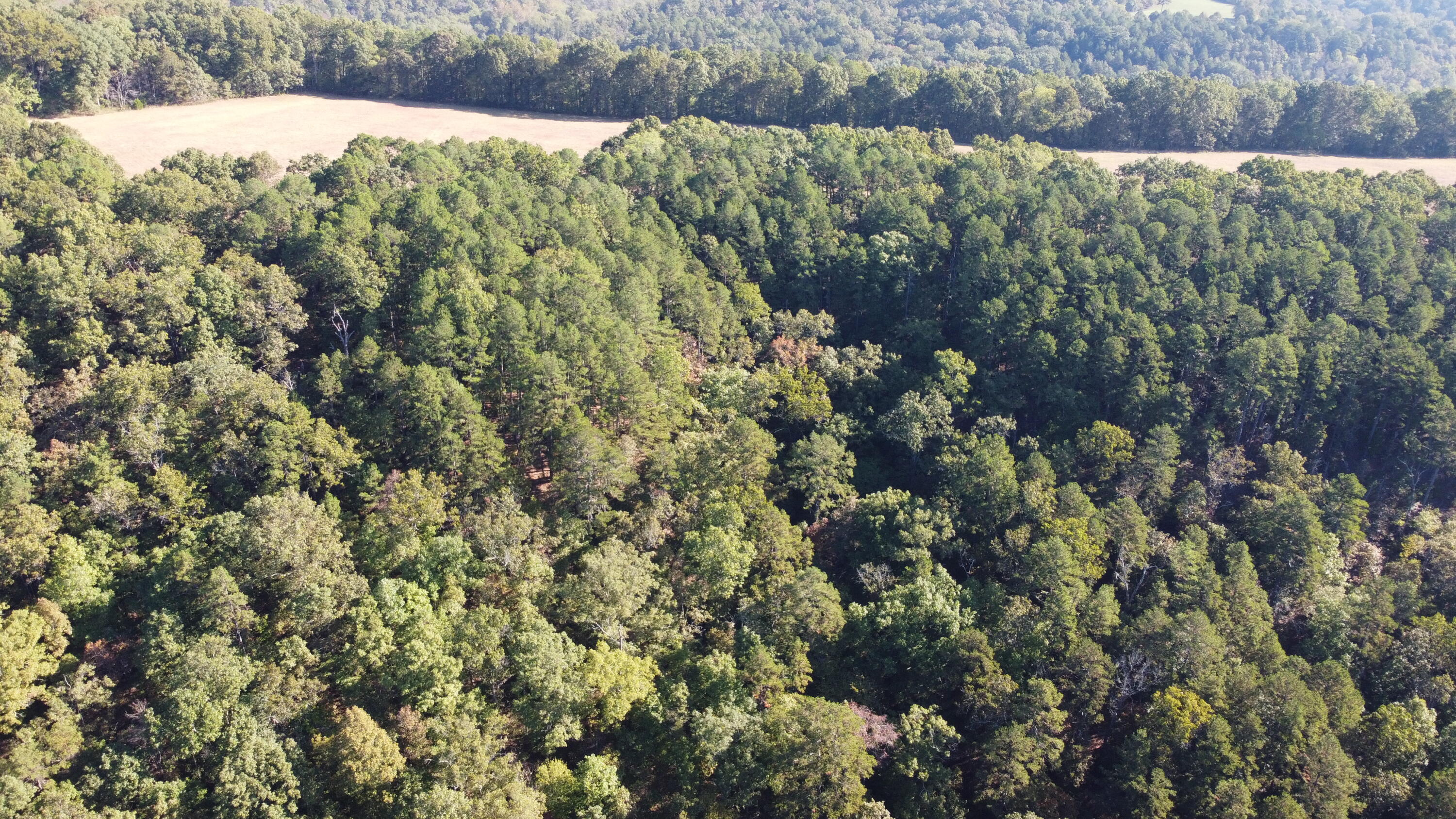 34771 Mo-14 Property Photo 18