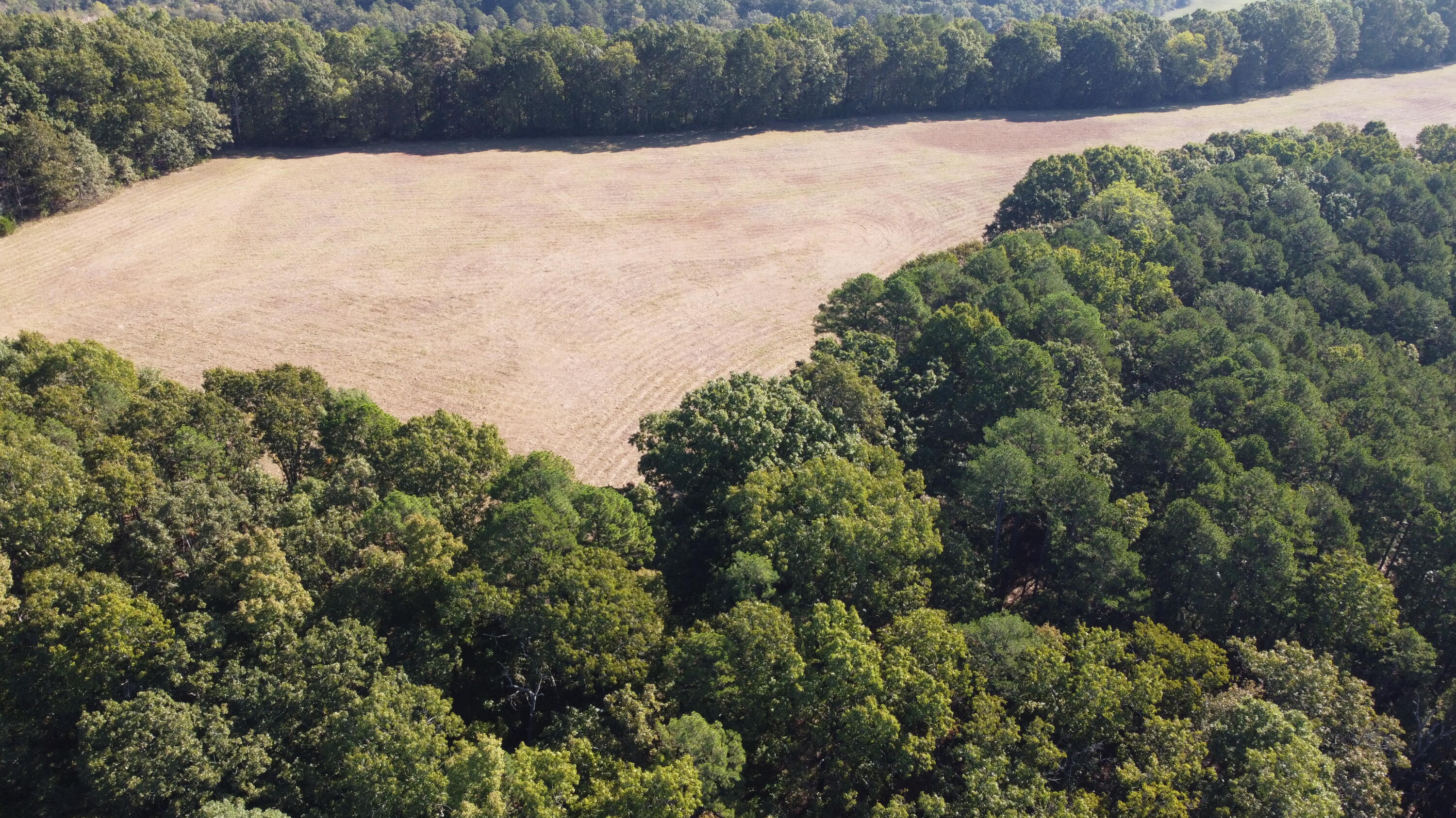 34771 Mo-14 Property Photo 20