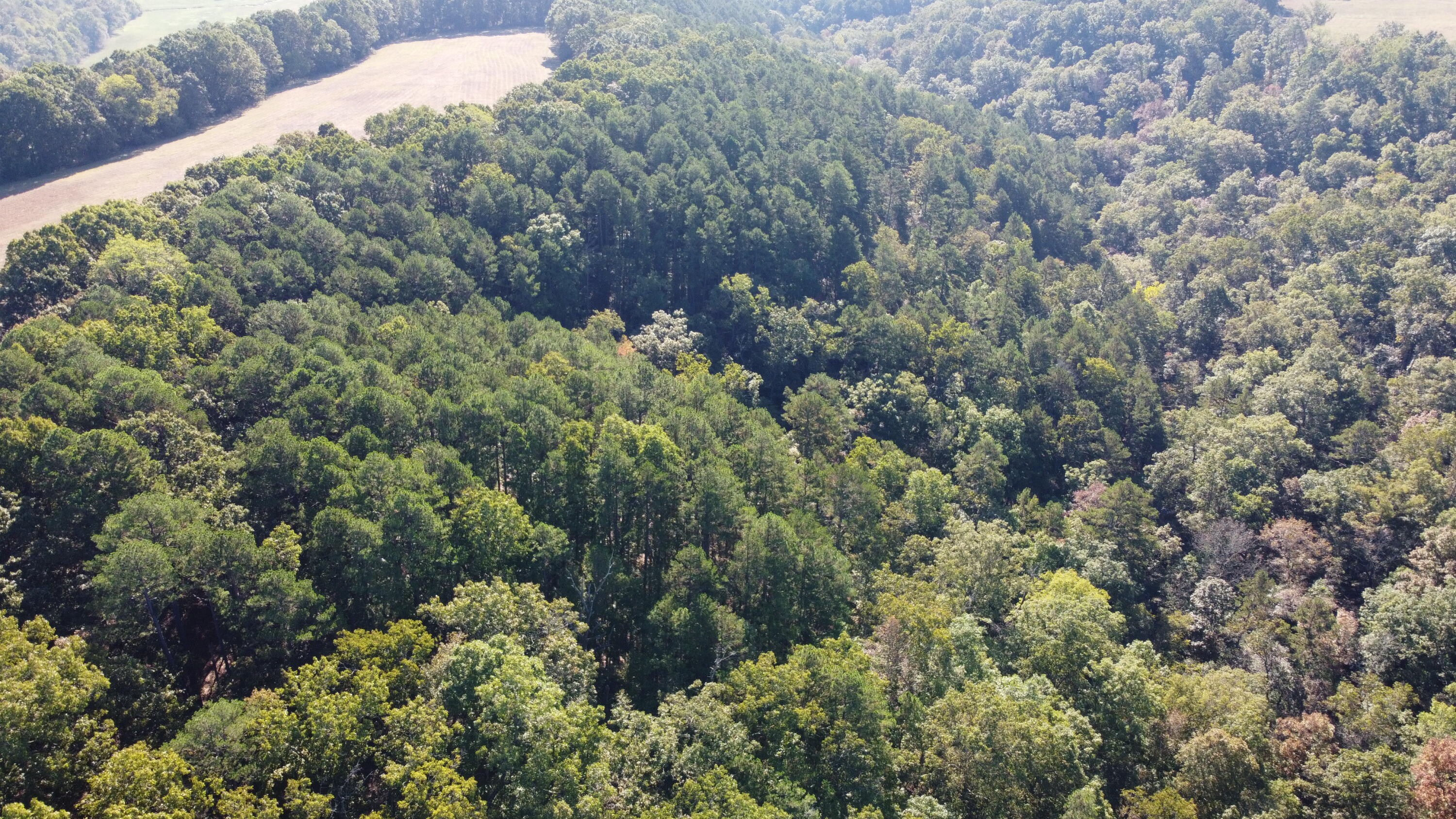 34771 Mo-14 Property Photo 21