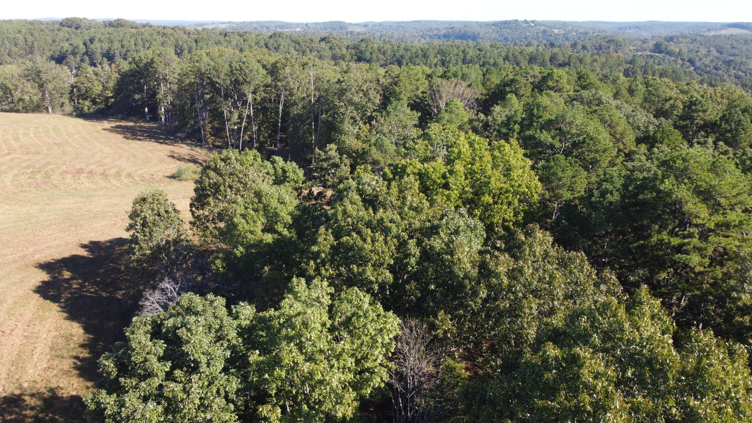34771 Mo-14 Property Photo 29