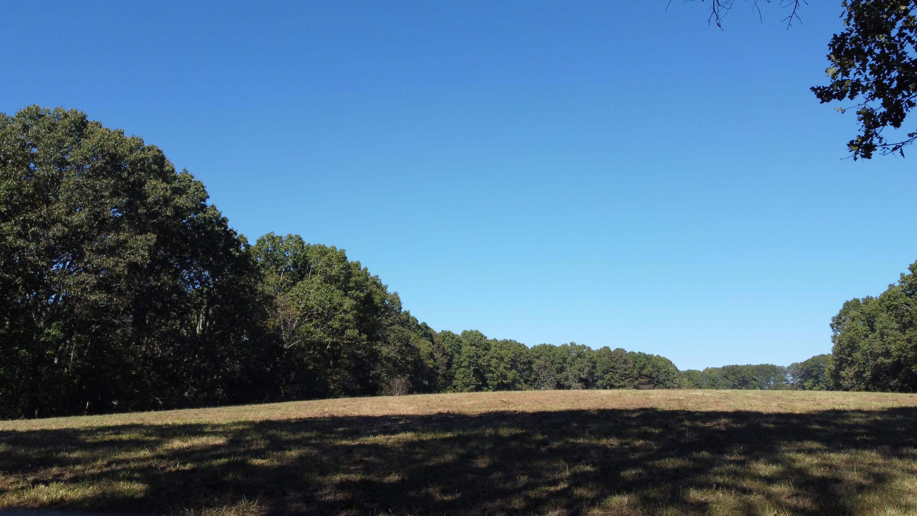 34771 Mo-14 Property Photo 31