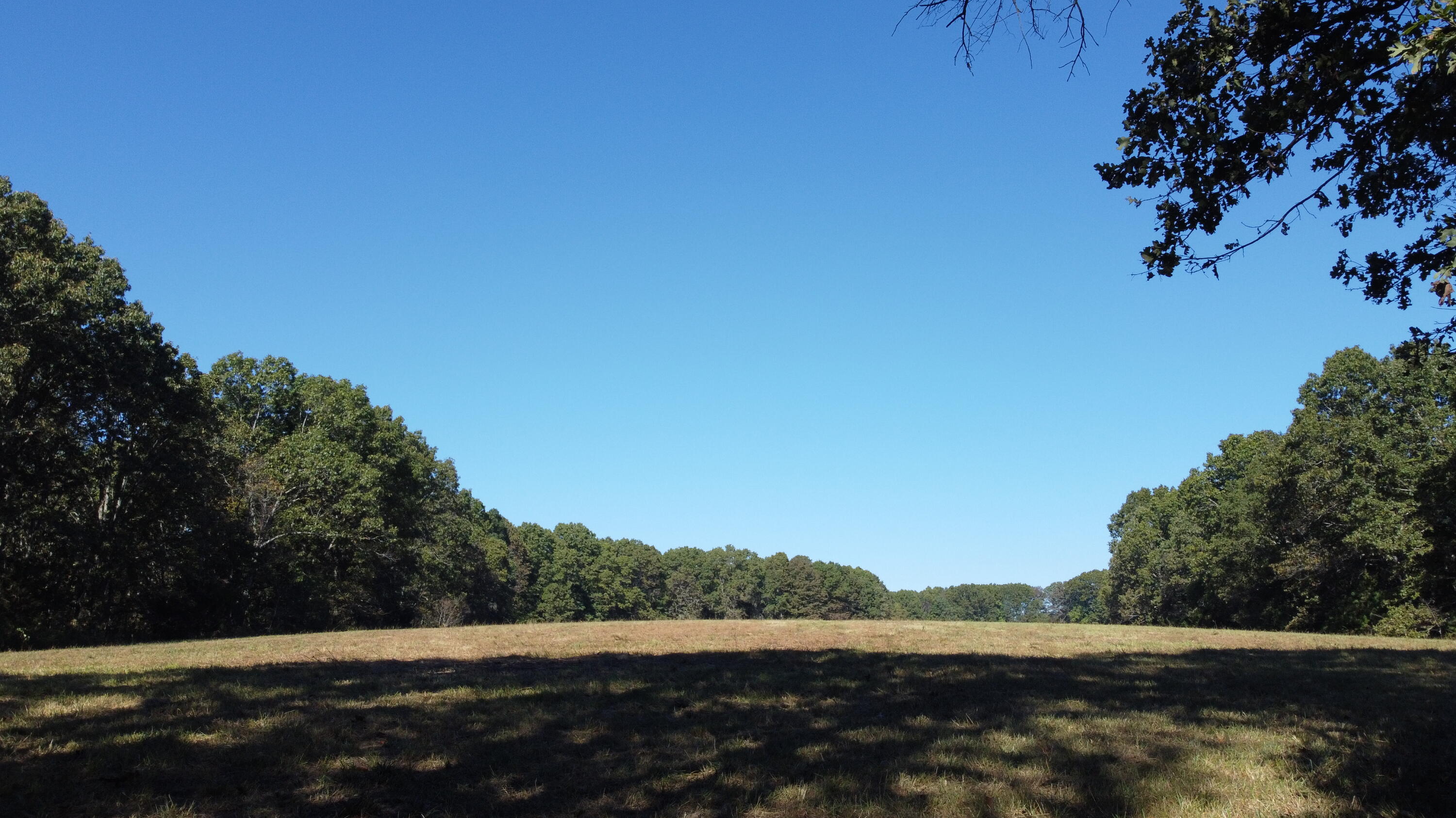 34771 Mo-14 Property Photo 32