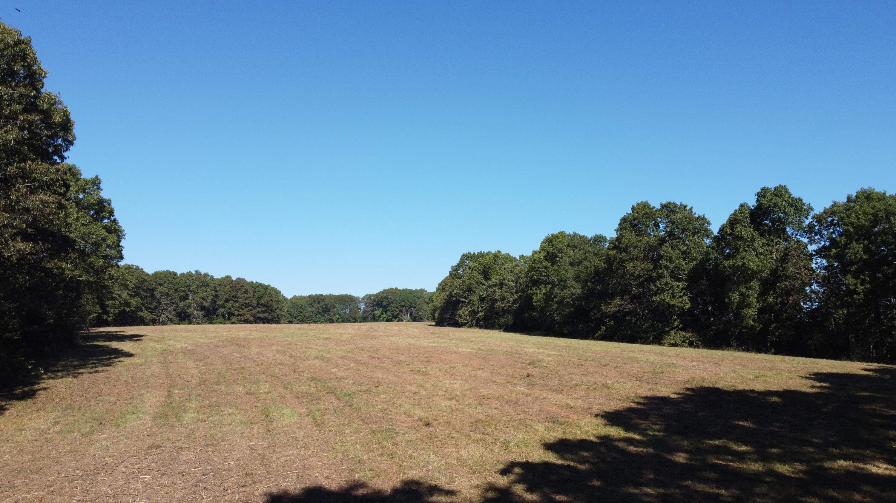 34771 Mo-14 Property Photo 34